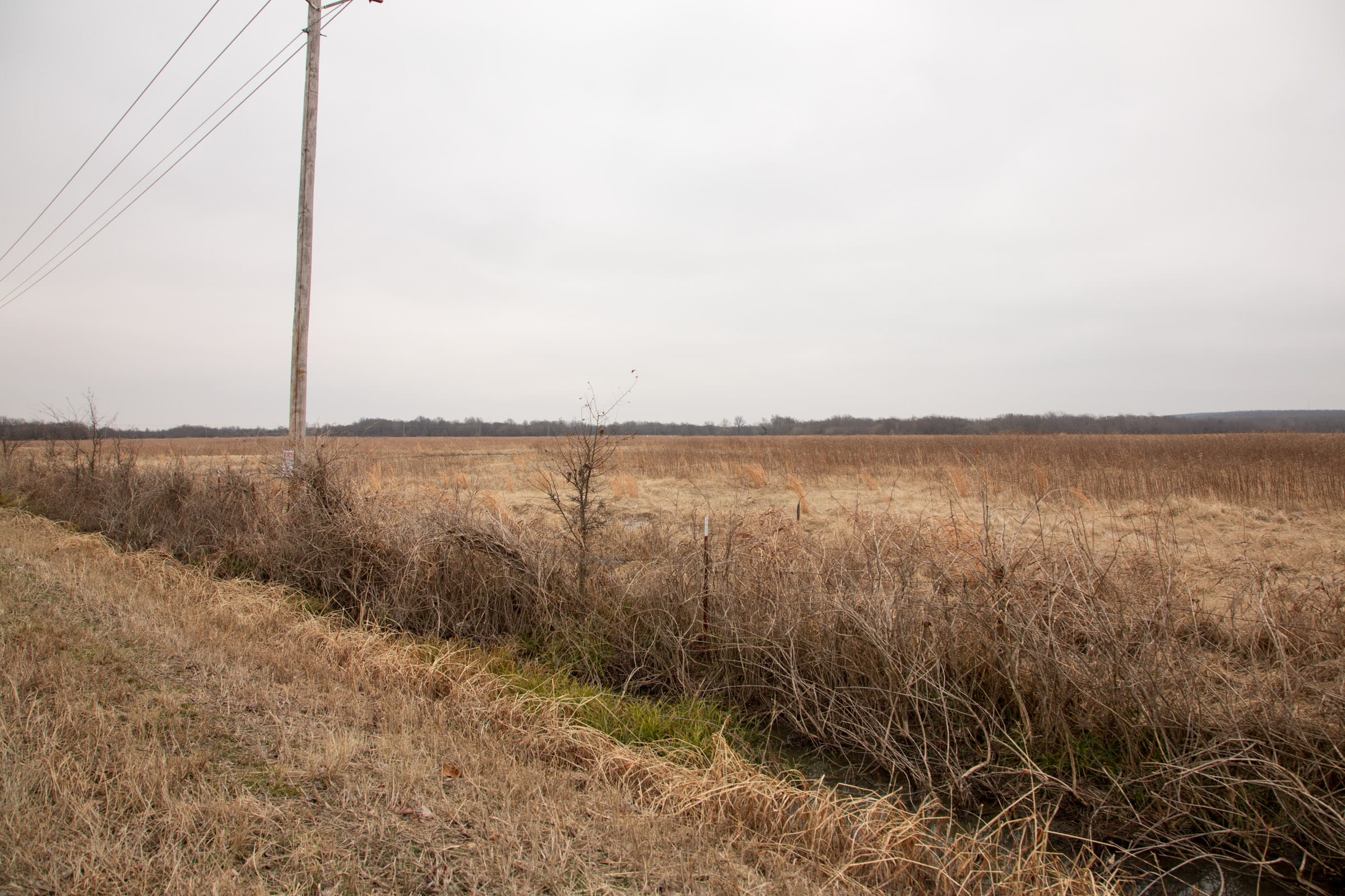 Canadian Plains Tract 32 photo 17