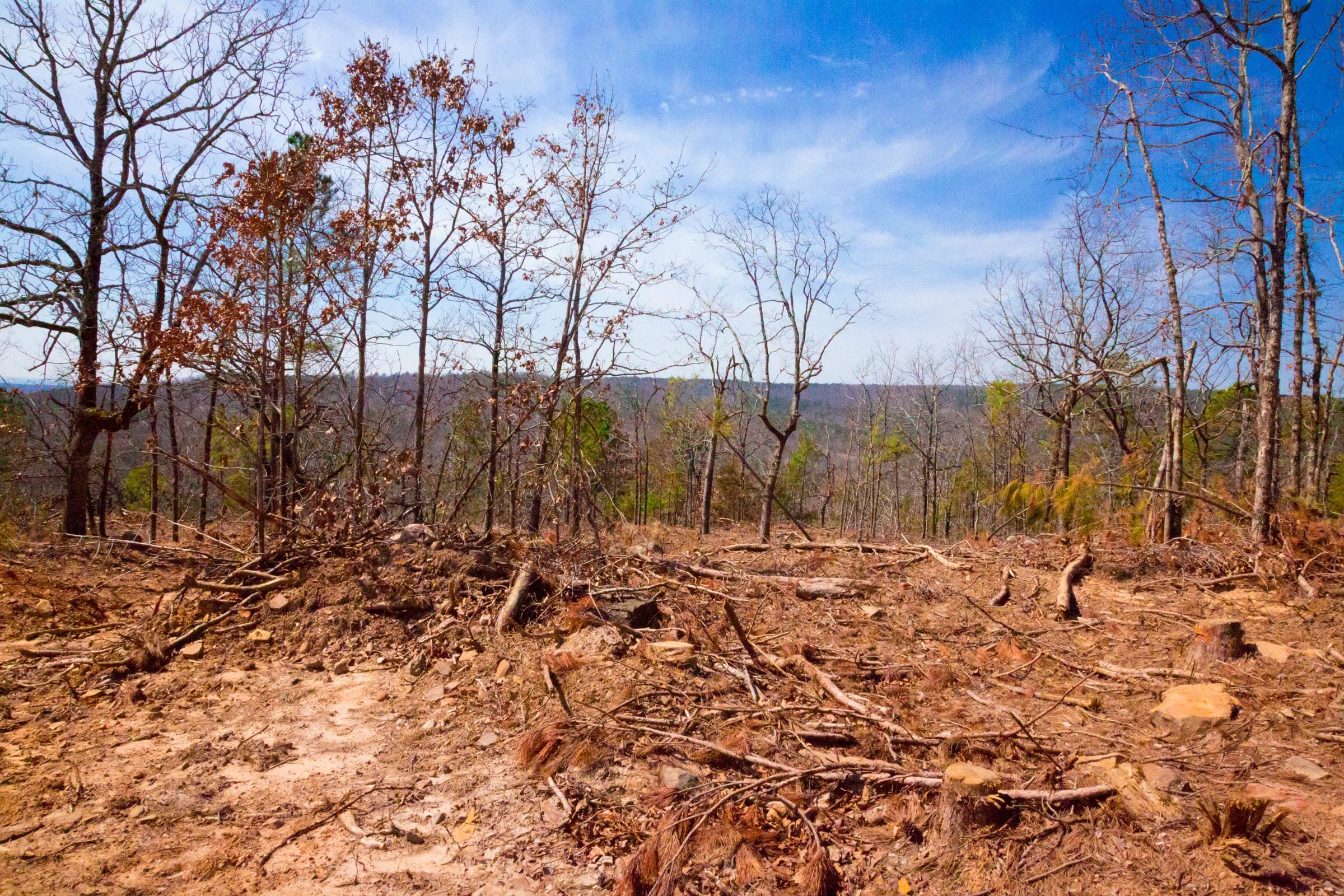 Stone Creek Phase II Tract 116 photo 2