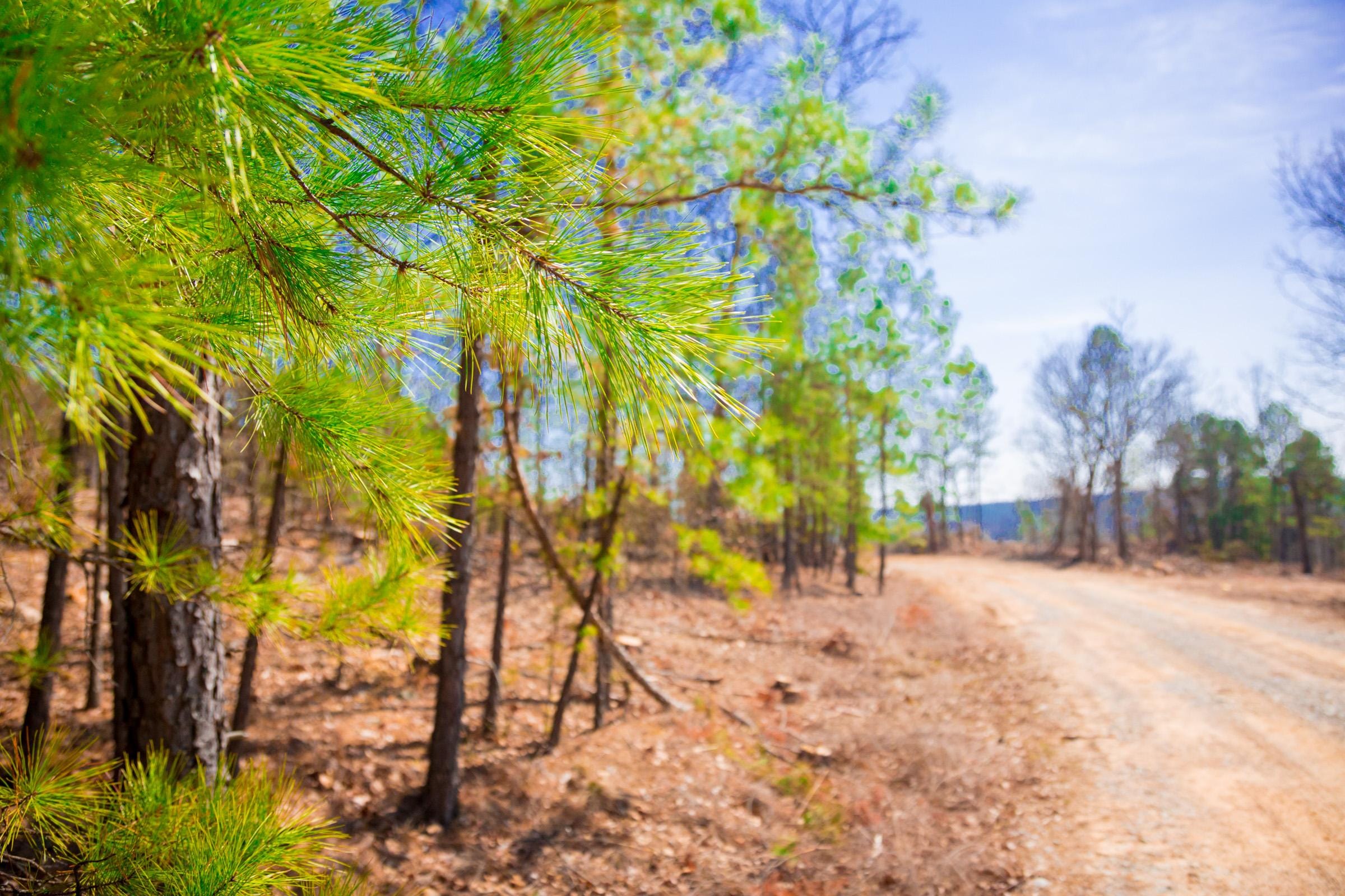 Stone Creek Phase II Tract 116 photo 9