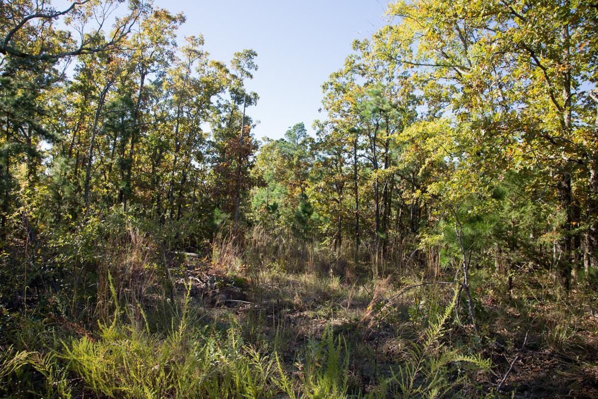 Stone Creek Phase I Tract 175 photo 2