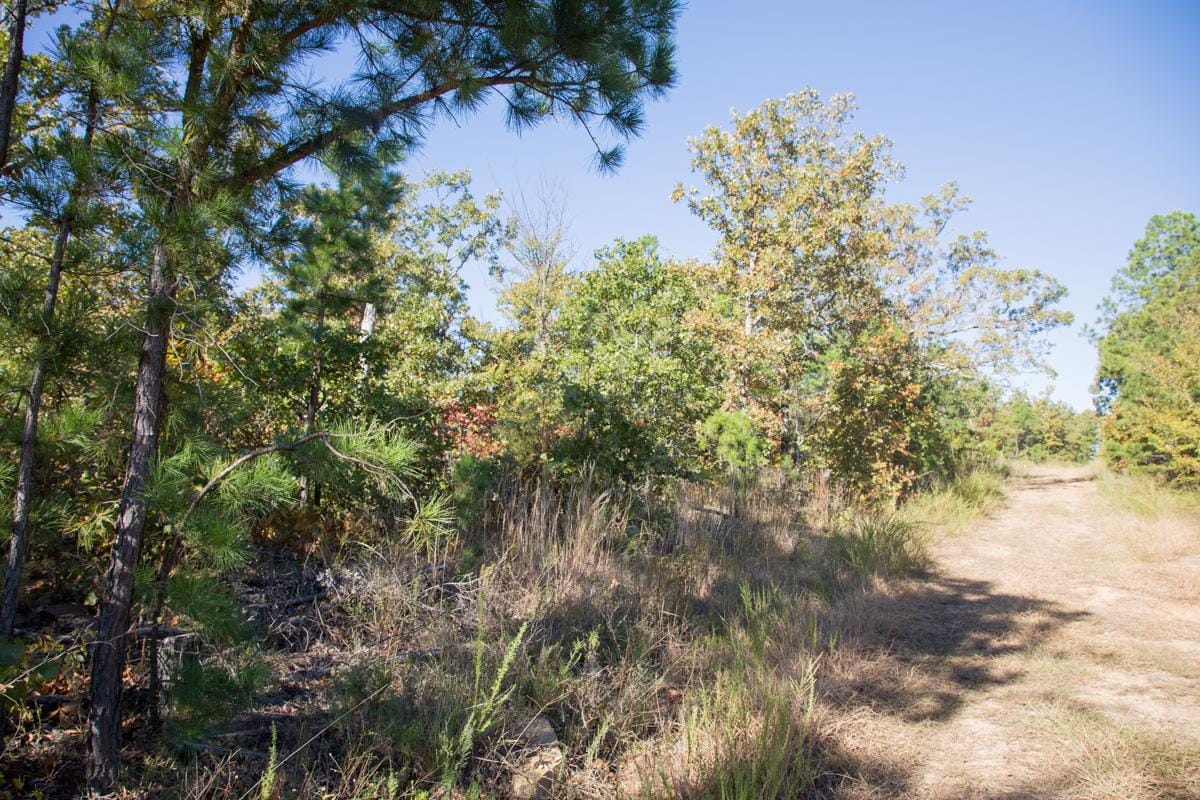 Stone Creek Phase I Tract 175 photo 5