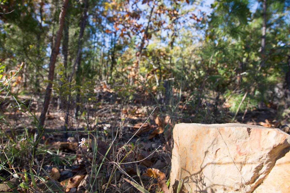 Stone Creek Phase I Tract 175 photo 6