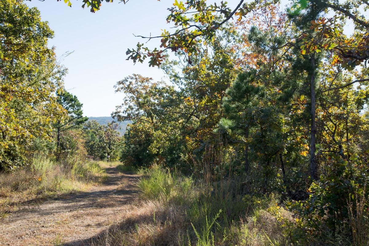Stone Creek Phase I Tract 175 photo 7