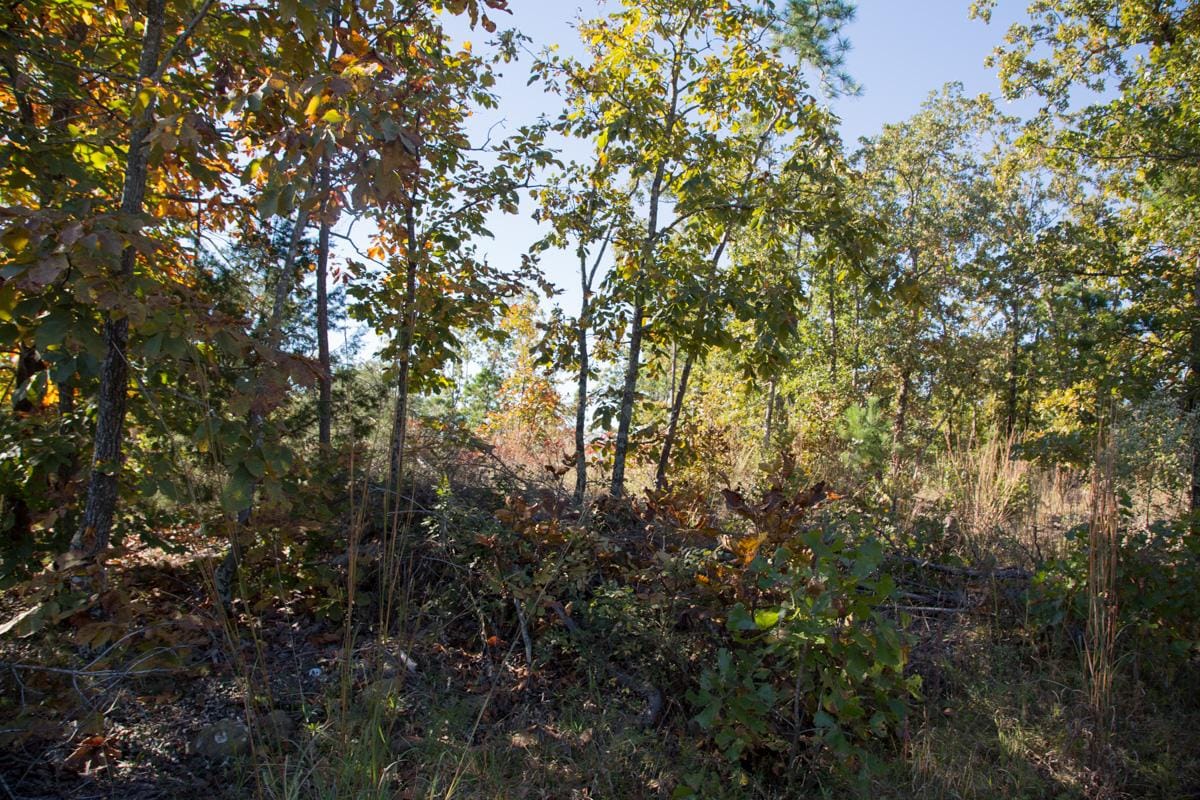Stone Creek Phase I Tract 175 photo 9