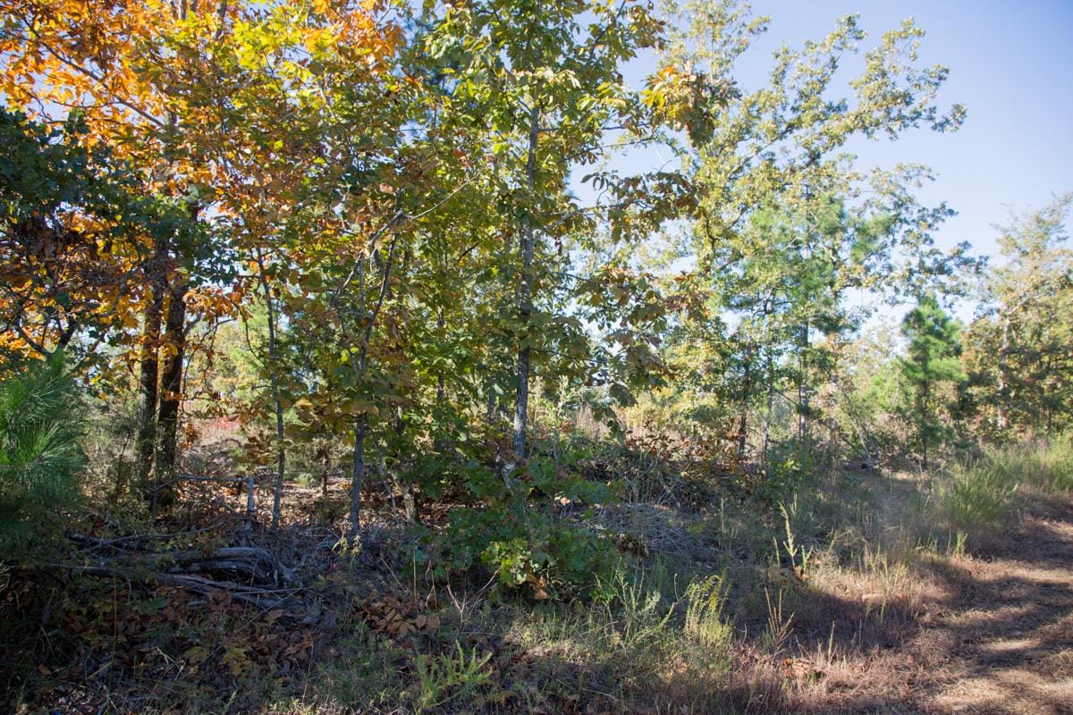 Stone Creek Phase I Tract 175 photo 10