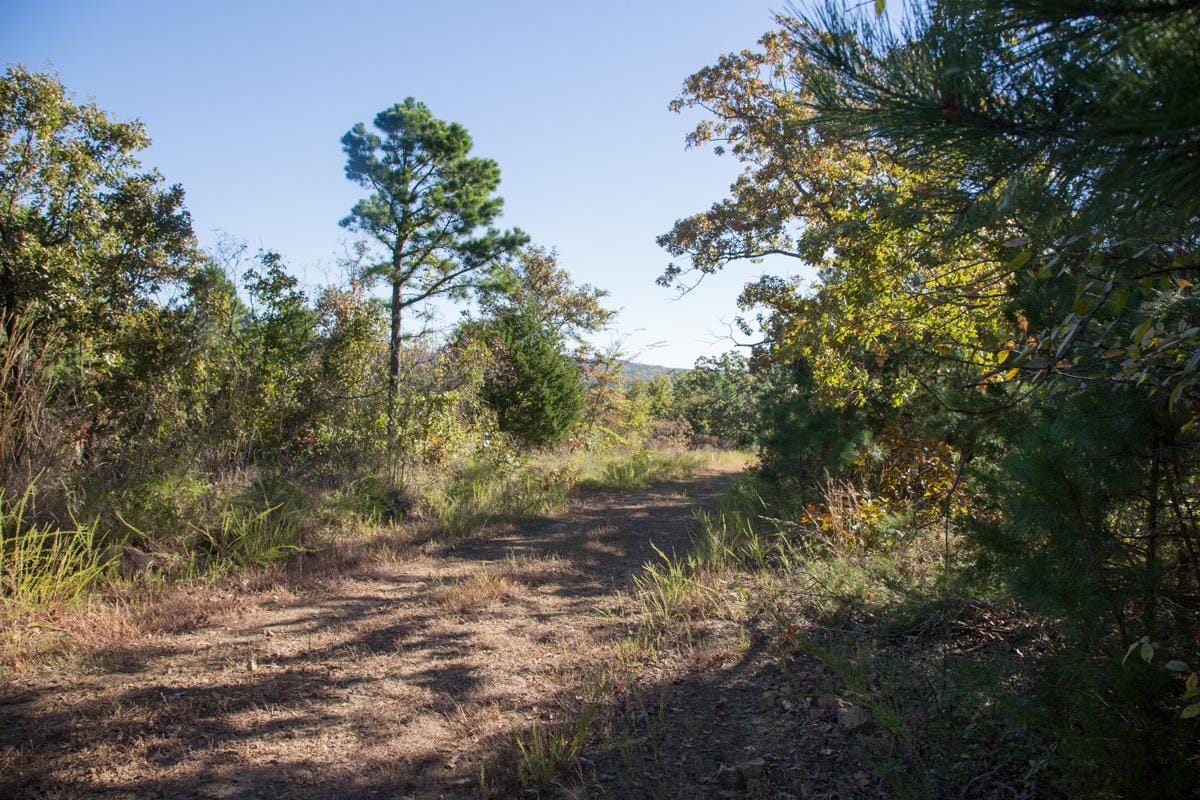 Stone Creek Phase I Tract 175 photo 12