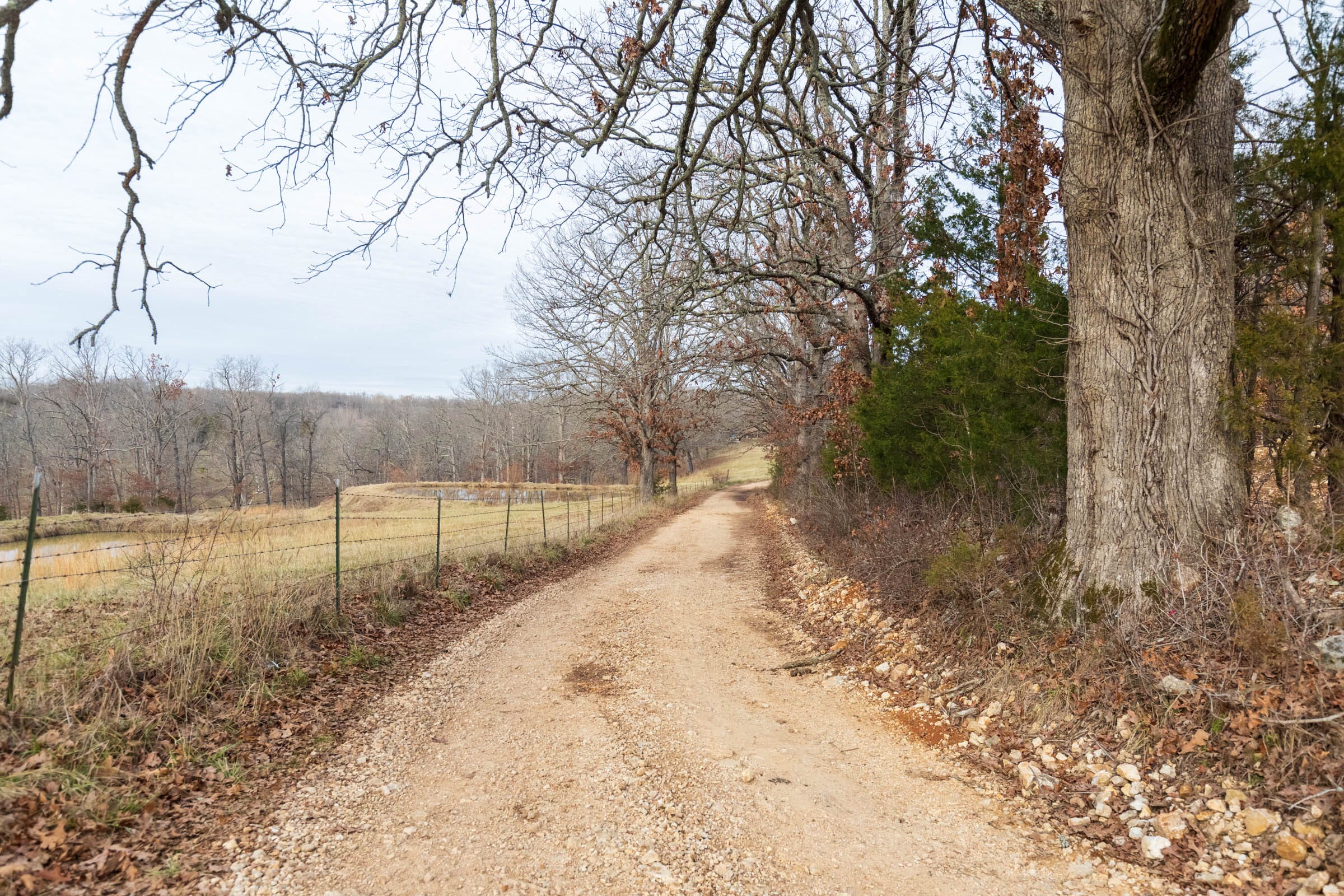 Crossroads Tract 10 photo 10