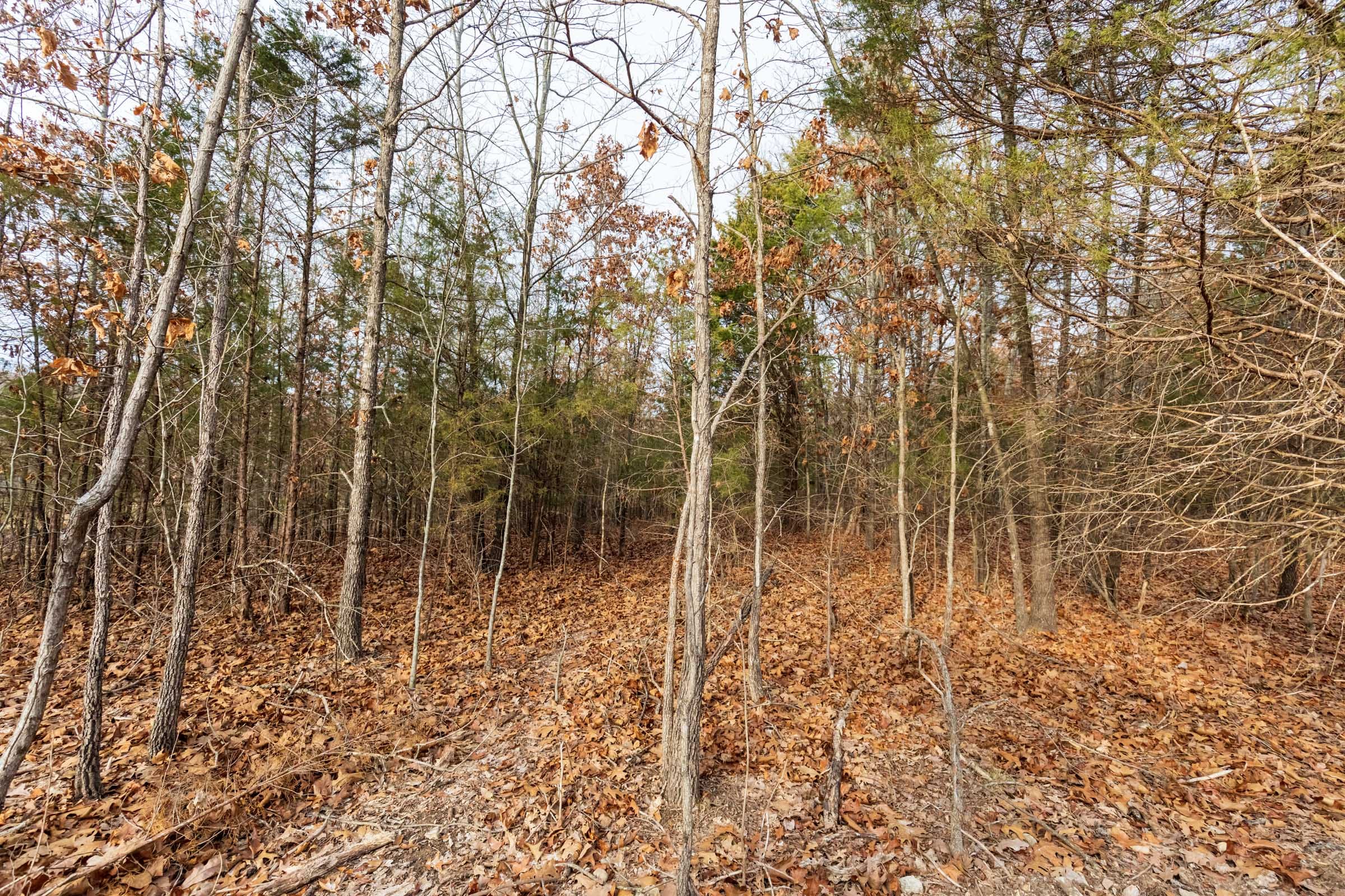 Crossroads Tract 10 photo 2
