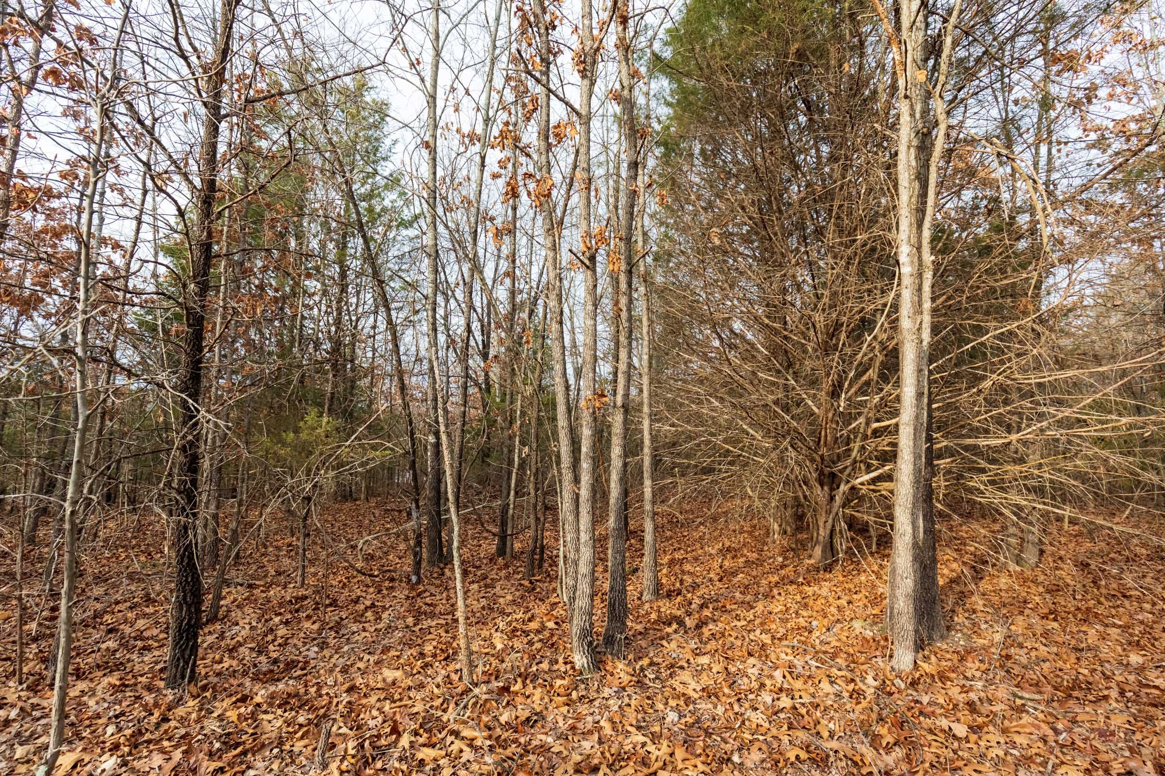 Crossroads Tract 10 photo 4