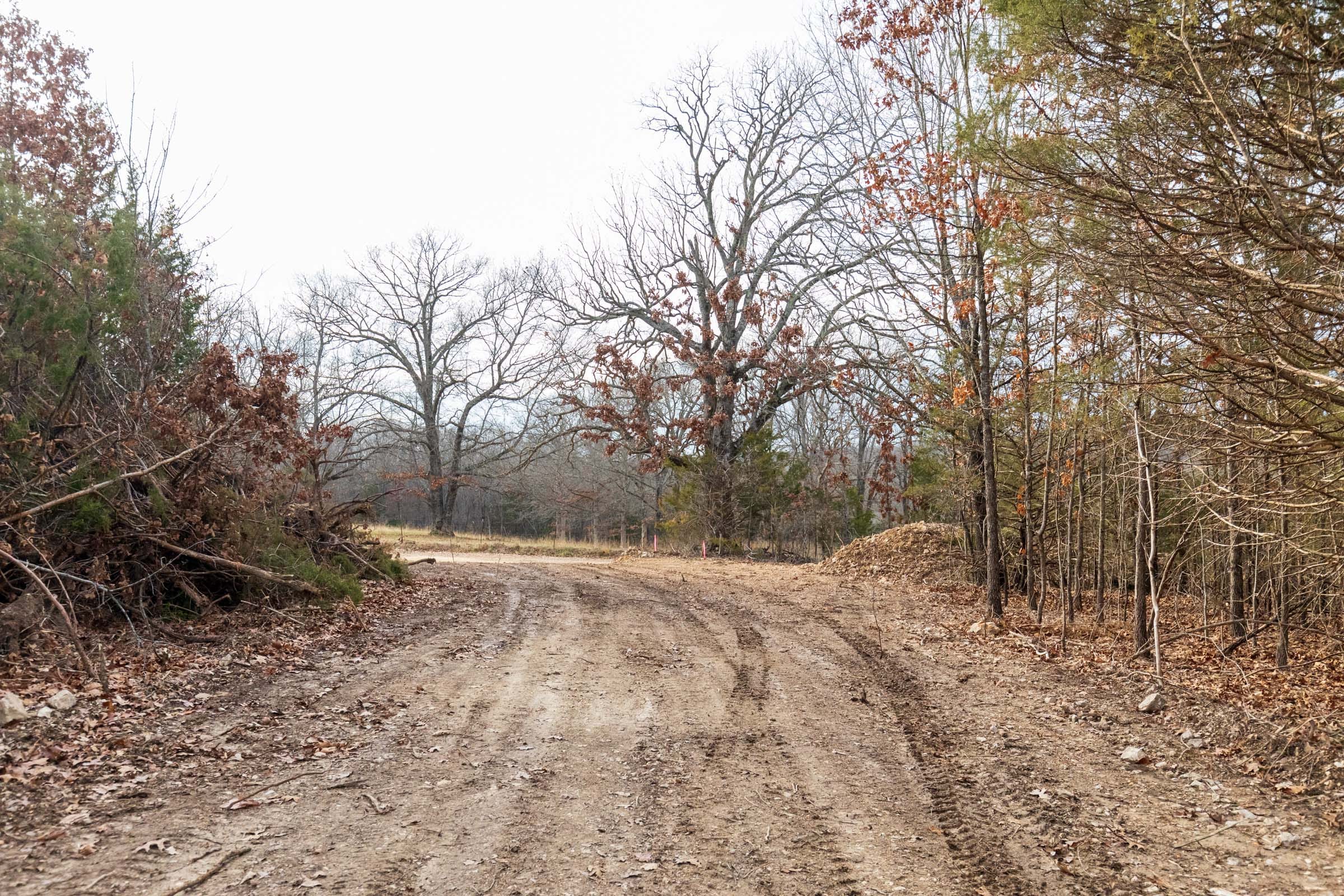 Crossroads Tract 10 photo 5