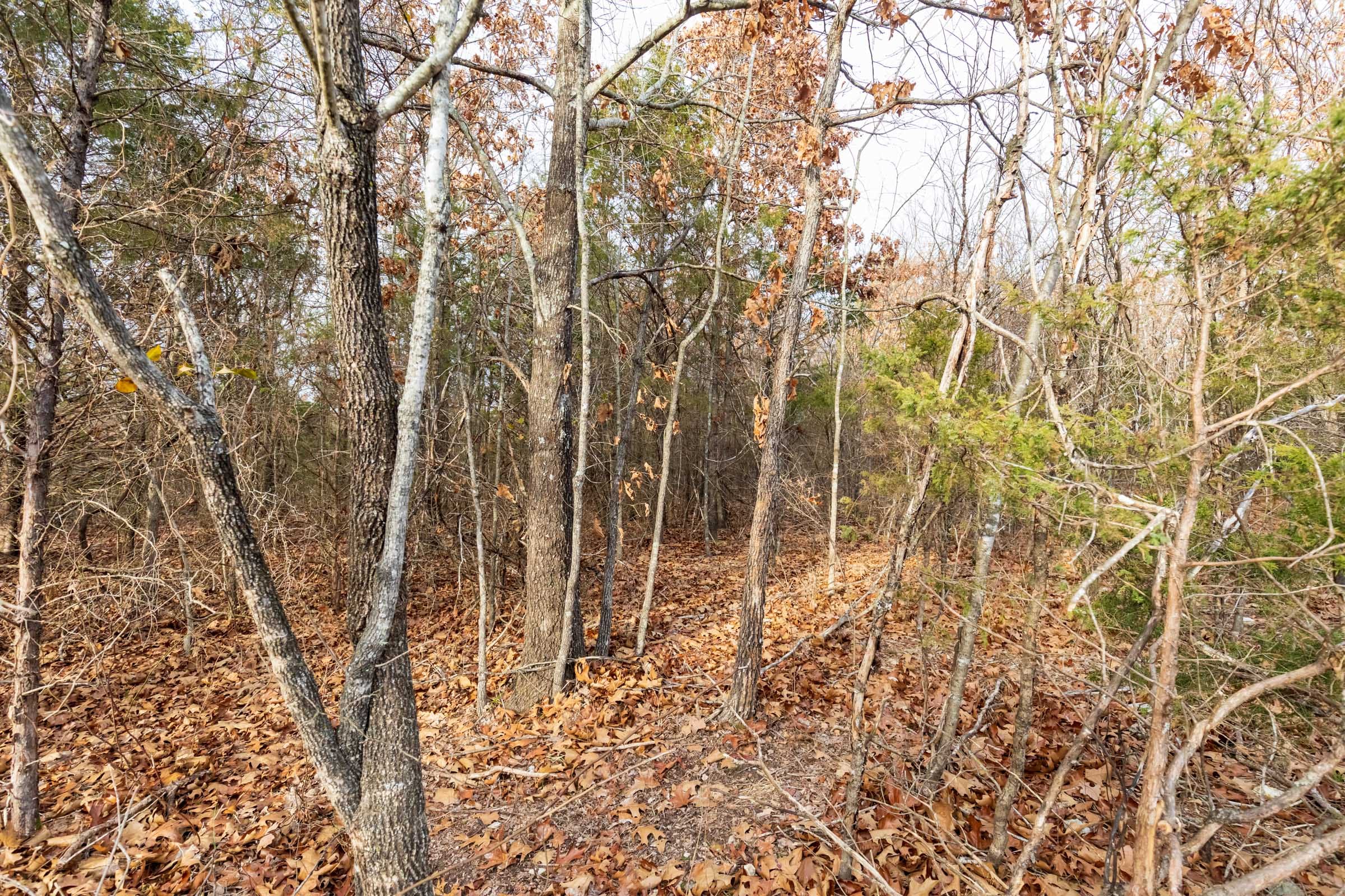 Crossroads Tract 10 photo 6