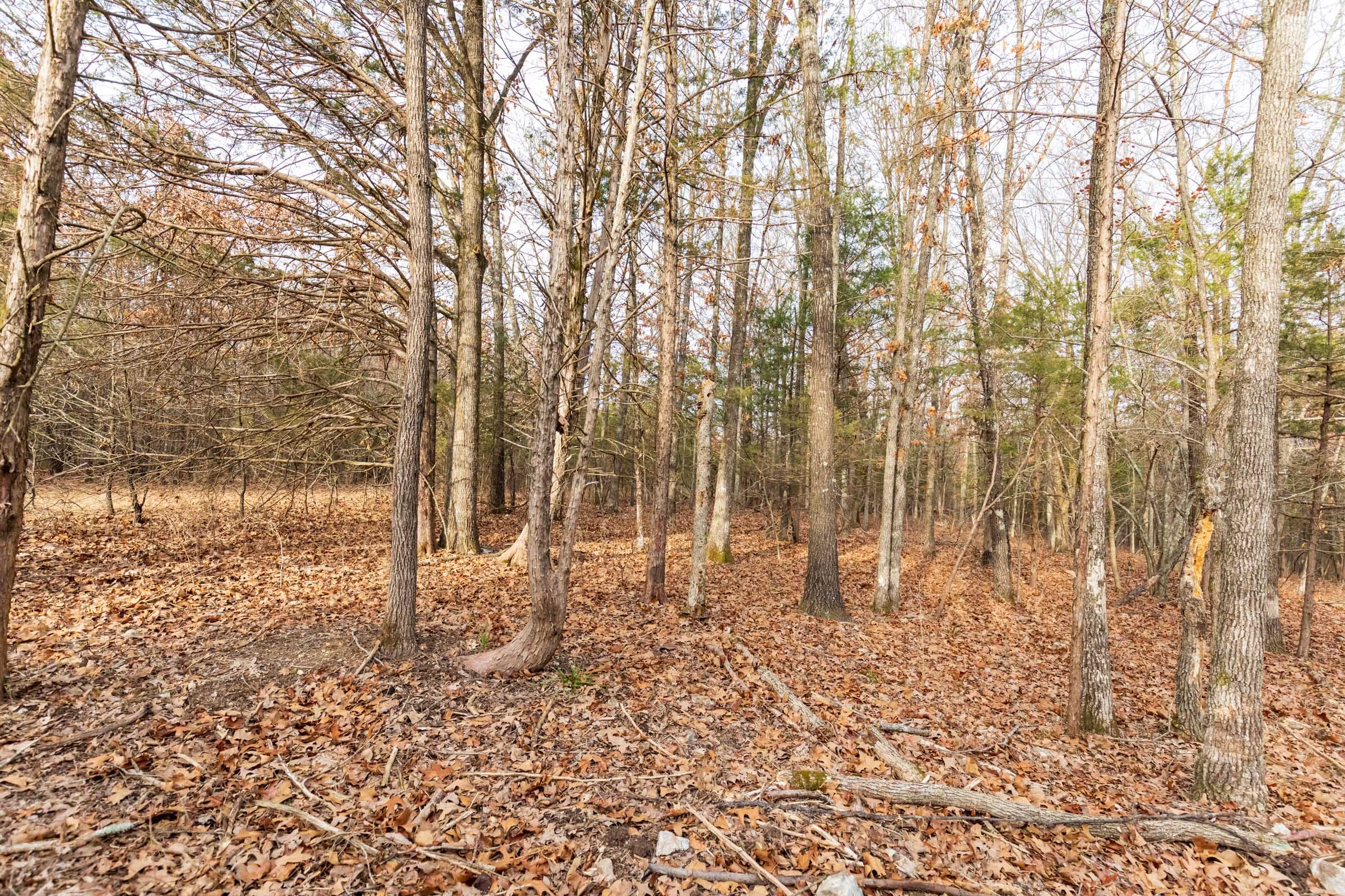 Crossroads Tract 10 photo 7