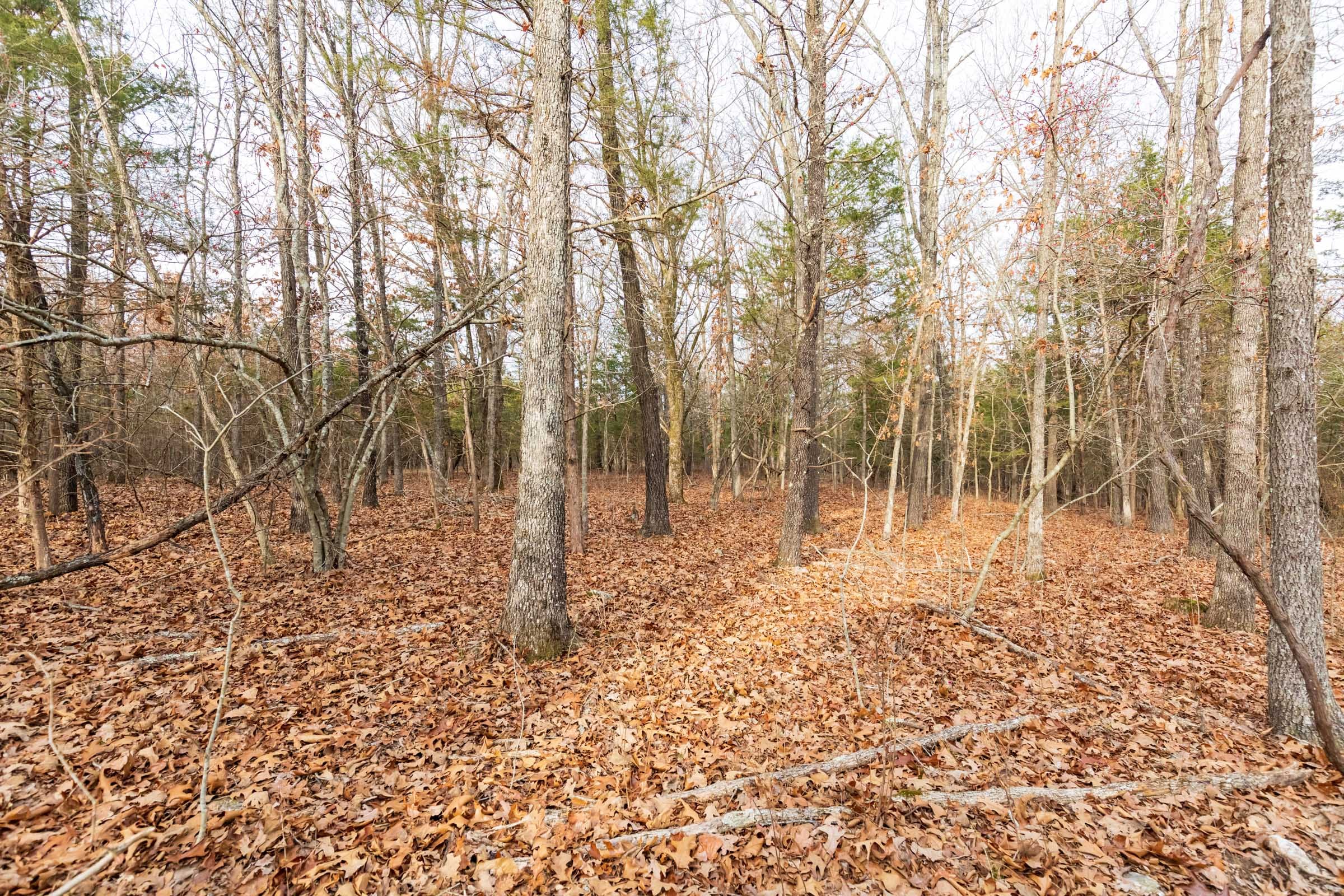 Crossroads Tract 10 photo 8