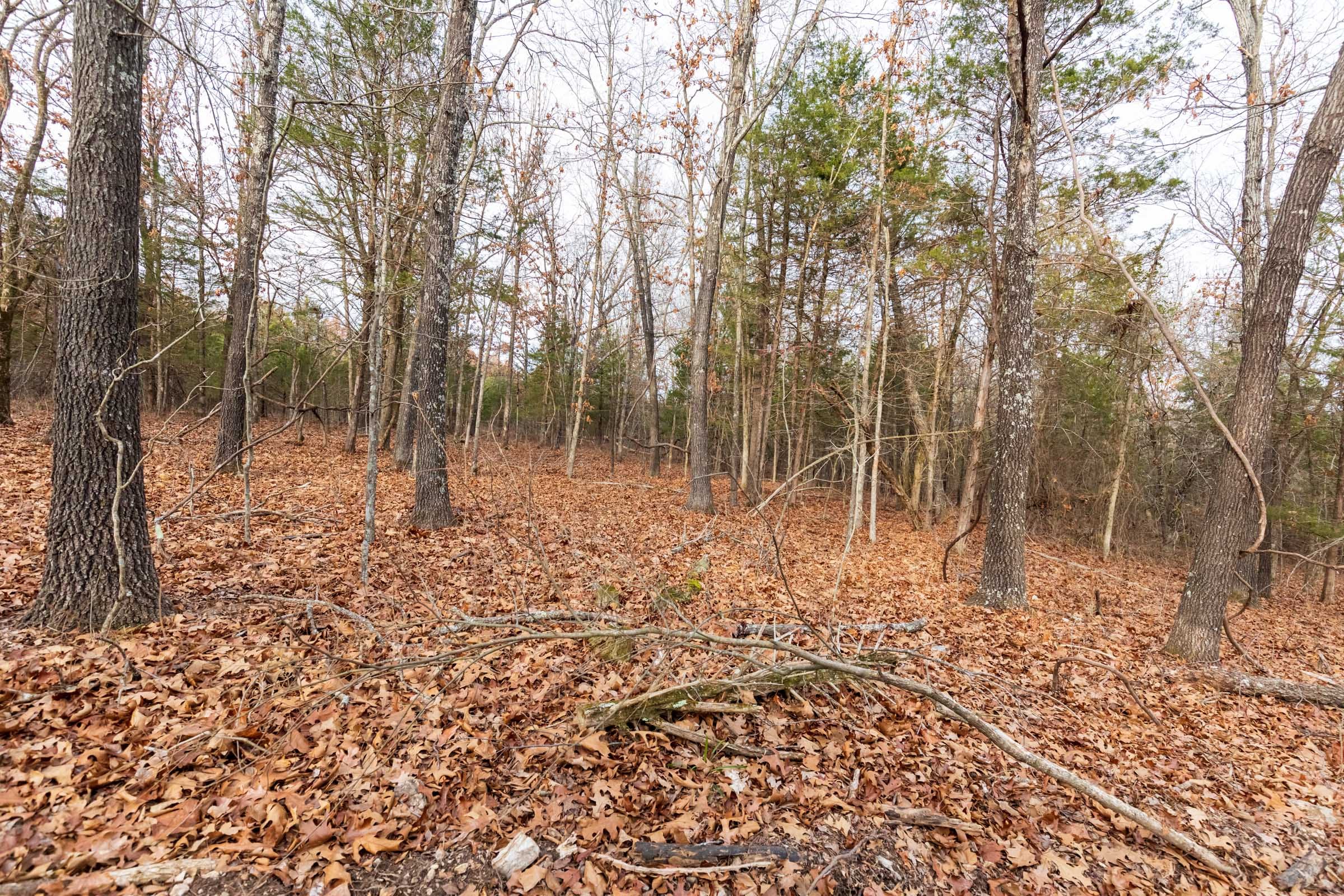 Crossroads Tract 10 photo 9