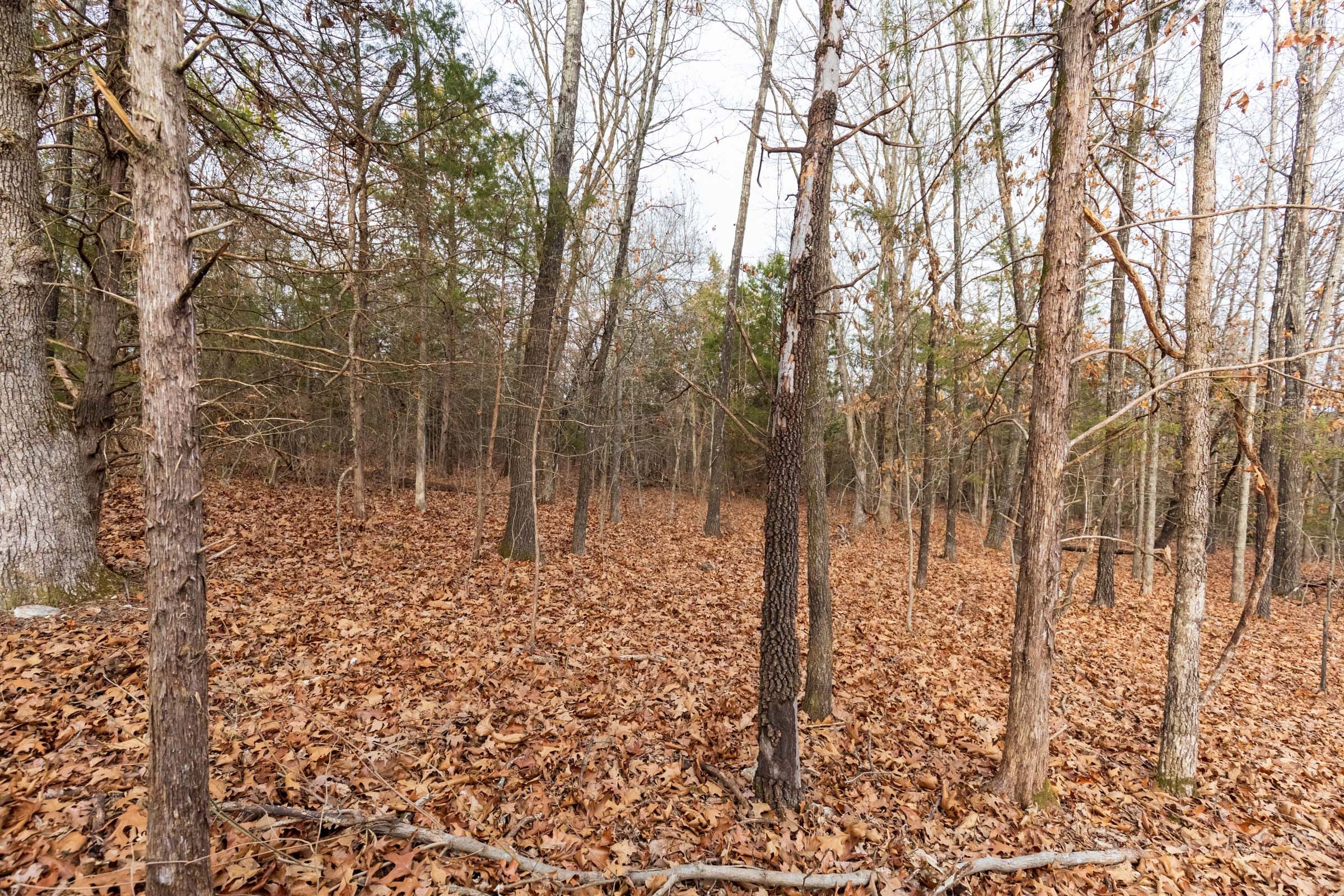 Crossroads Tract 10 photo 11
