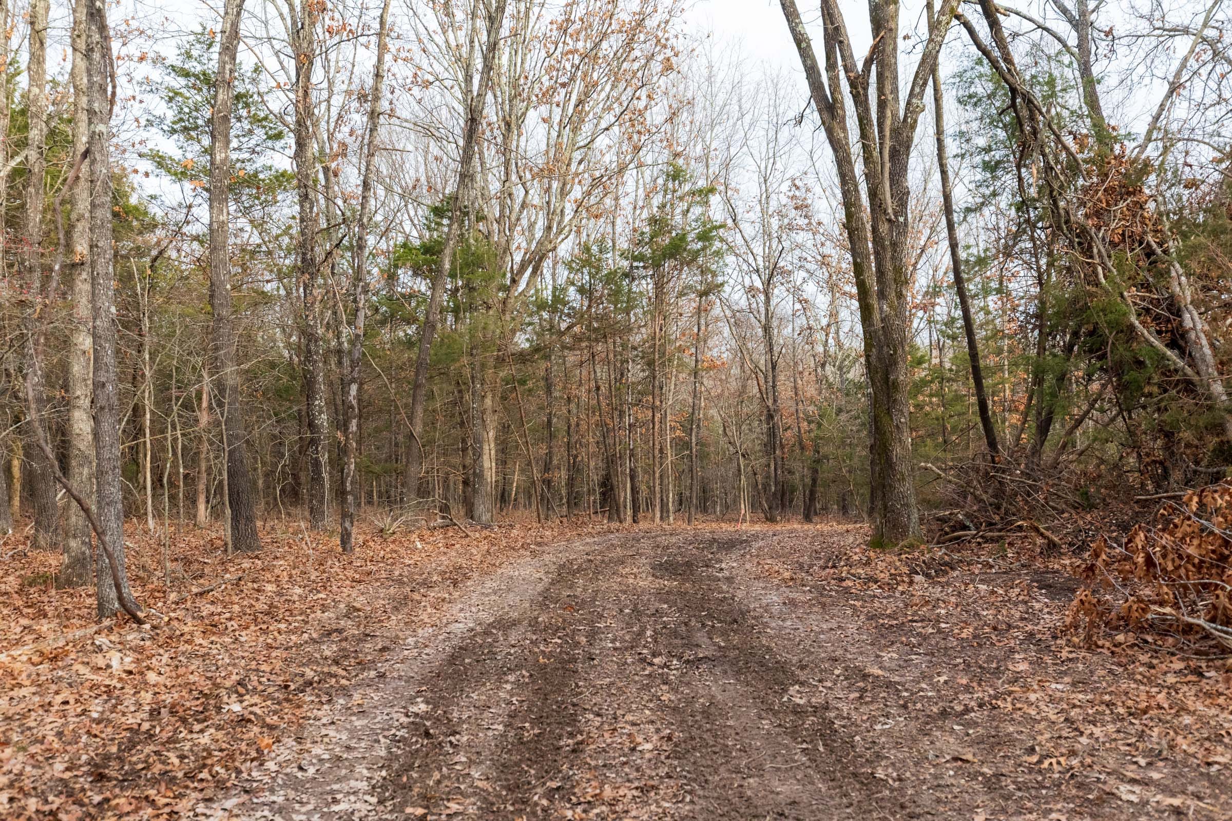 Crossroads Tract 10 photo 12