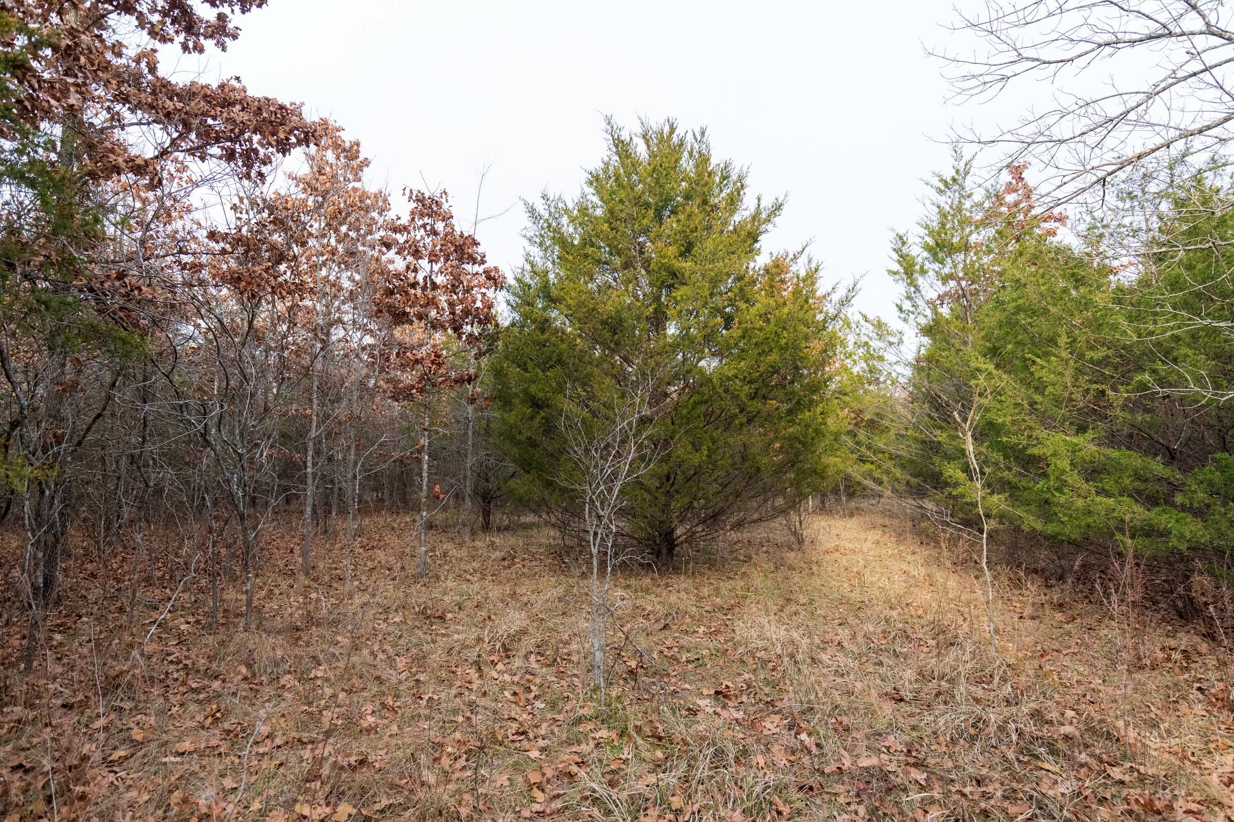 Crossroads Tract 10 photo 13