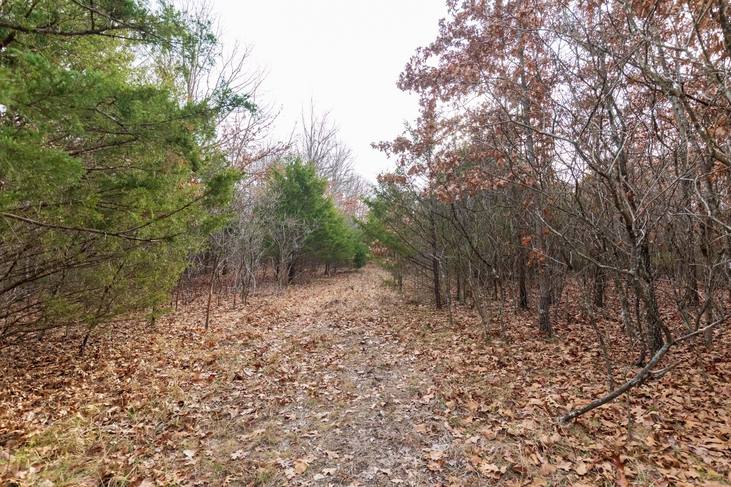 Crossroads Tract 10 photo 14