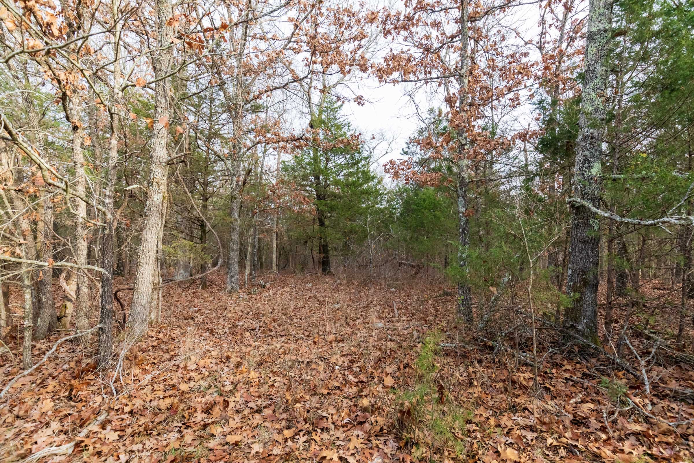 Crossroads Tract 10 photo 15
