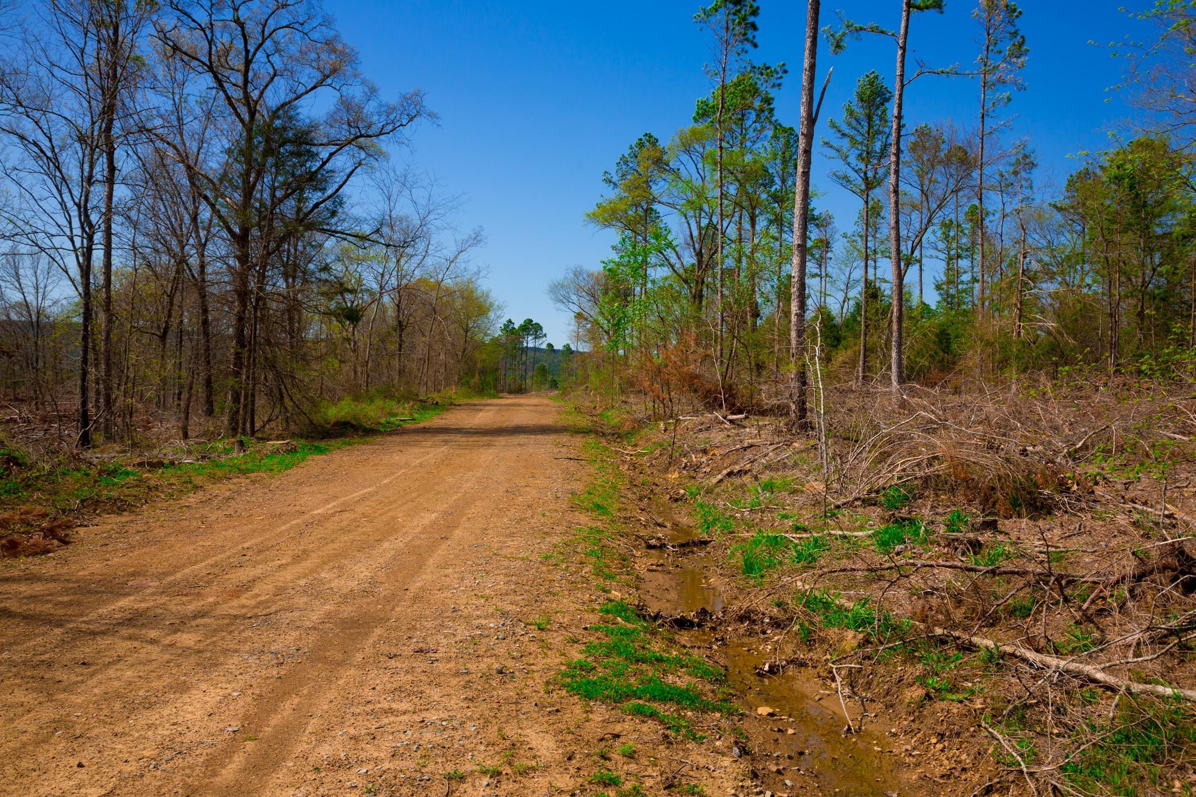 Stone Creek Phase II Tract 251 photo 2