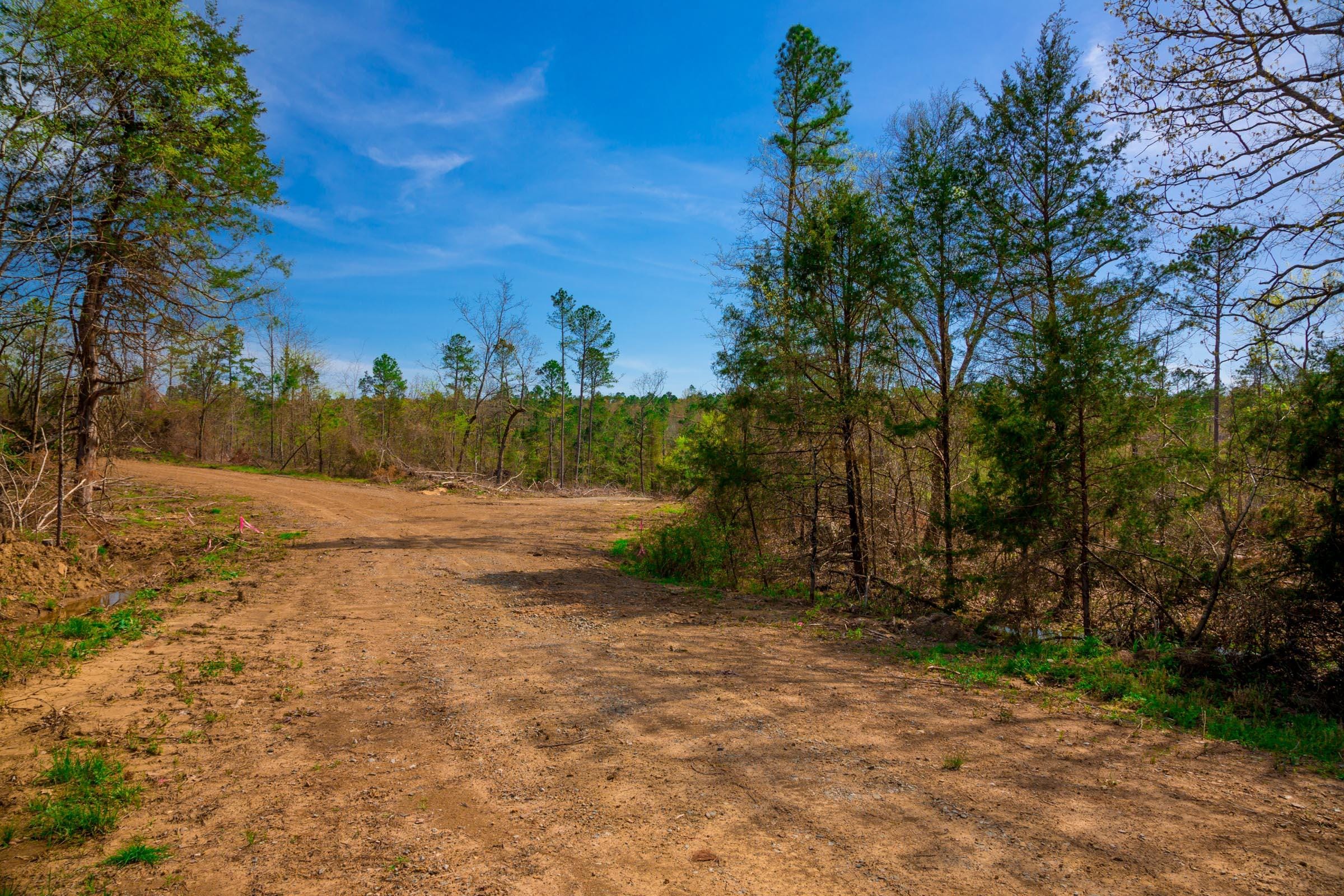 Stone Creek Phase II Tract 251 photo 7