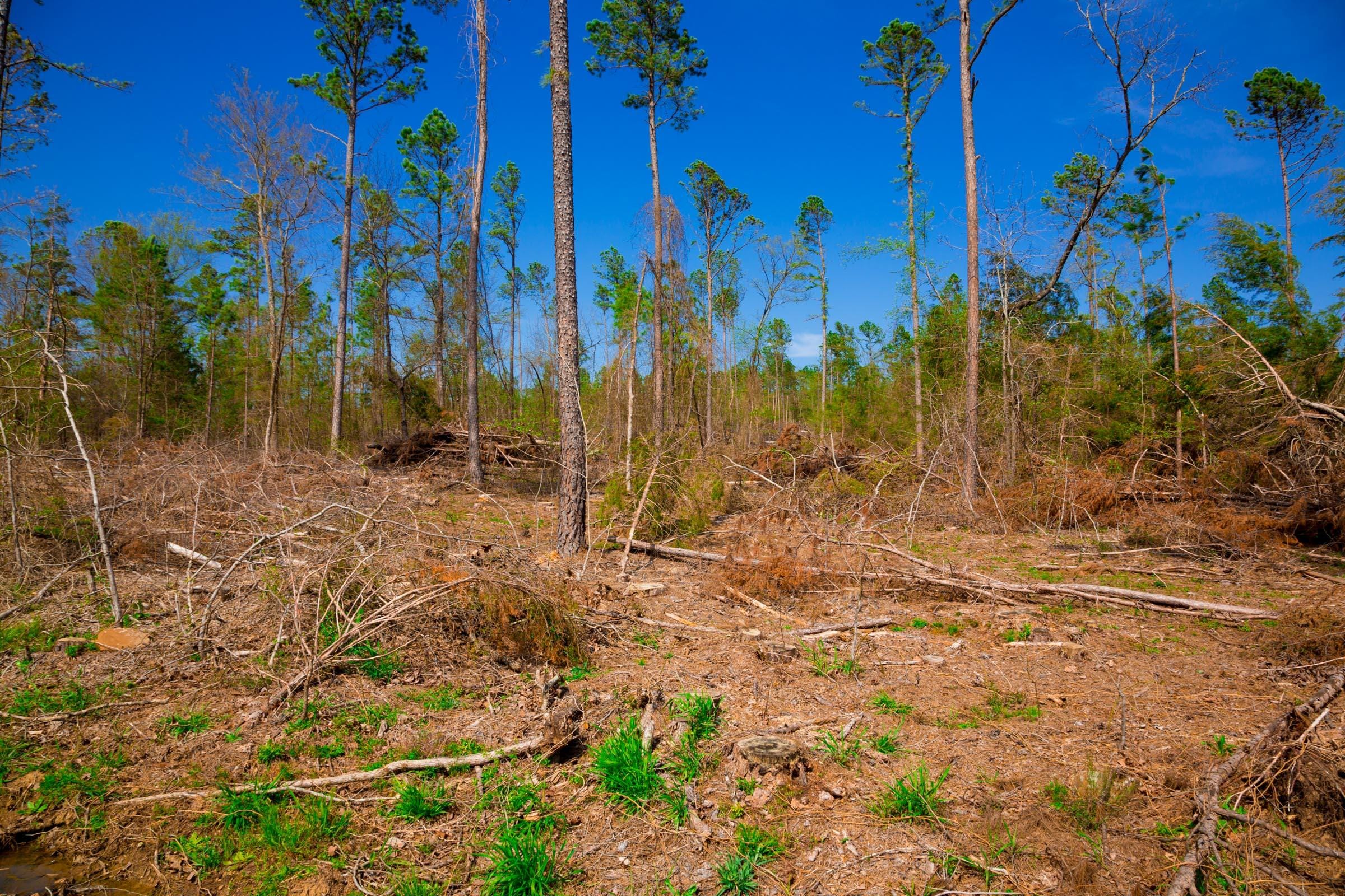 Stone Creek Phase II Tract 251 photo 5