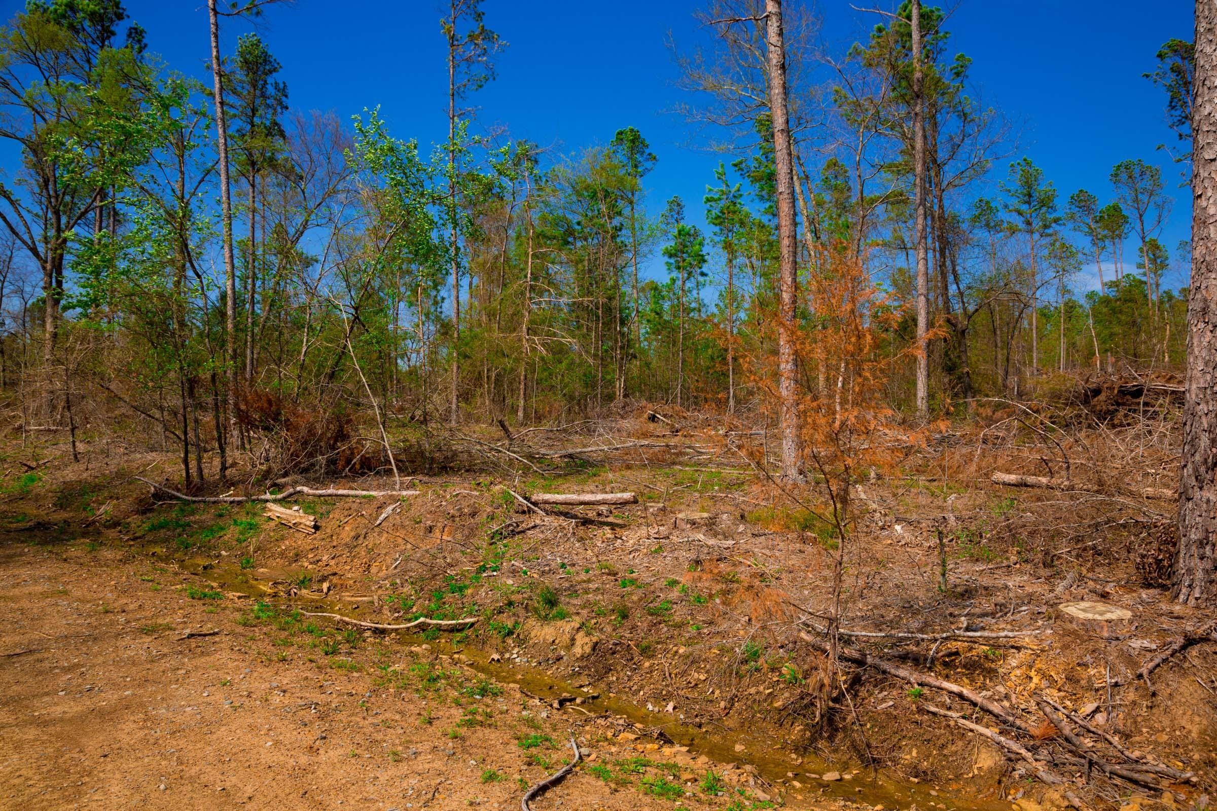 Stone Creek Phase II Tract 251 photo 6