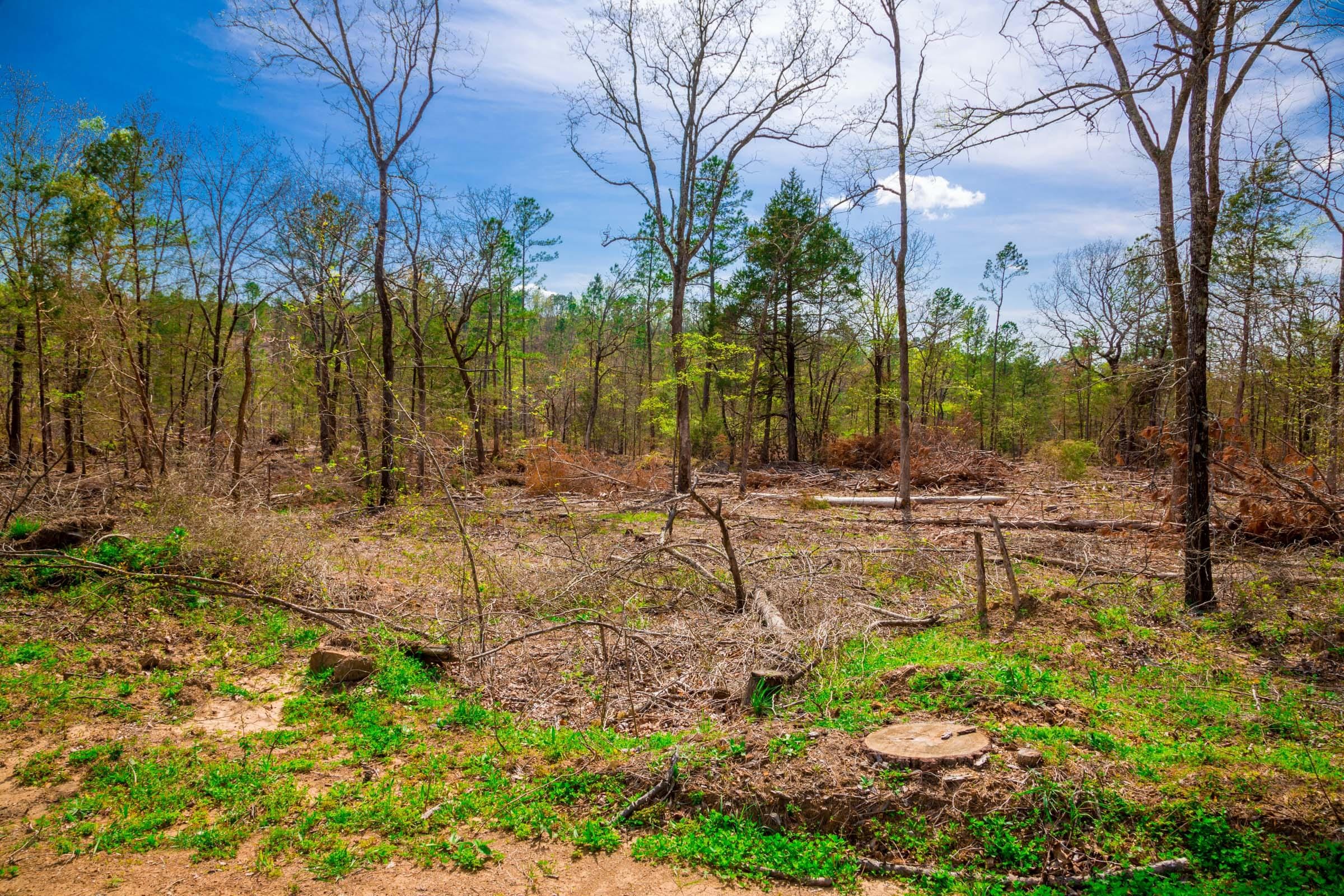 Stone Creek Phase II Tract 251 photo 8