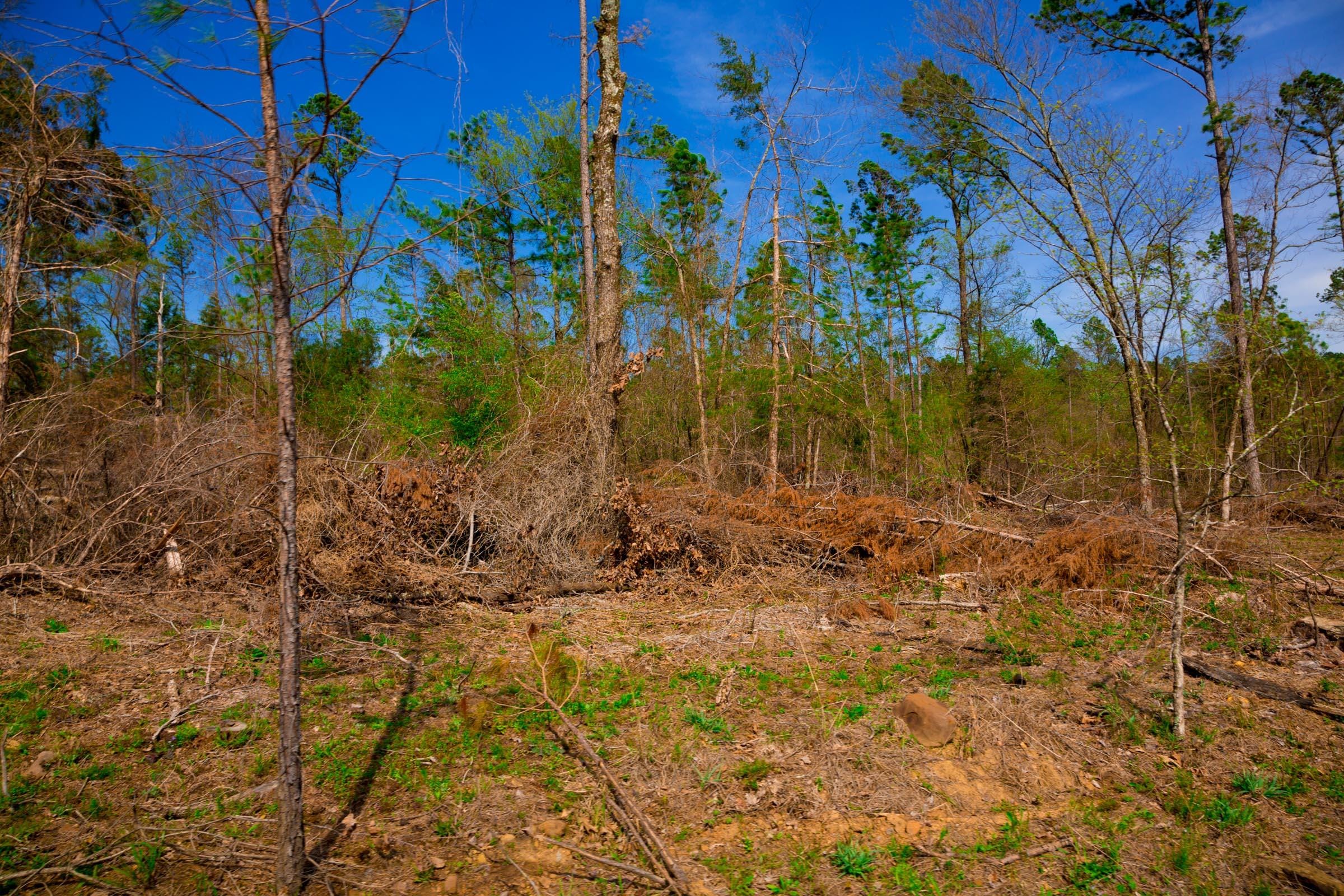 Stone Creek Phase II Tract 251 photo 10