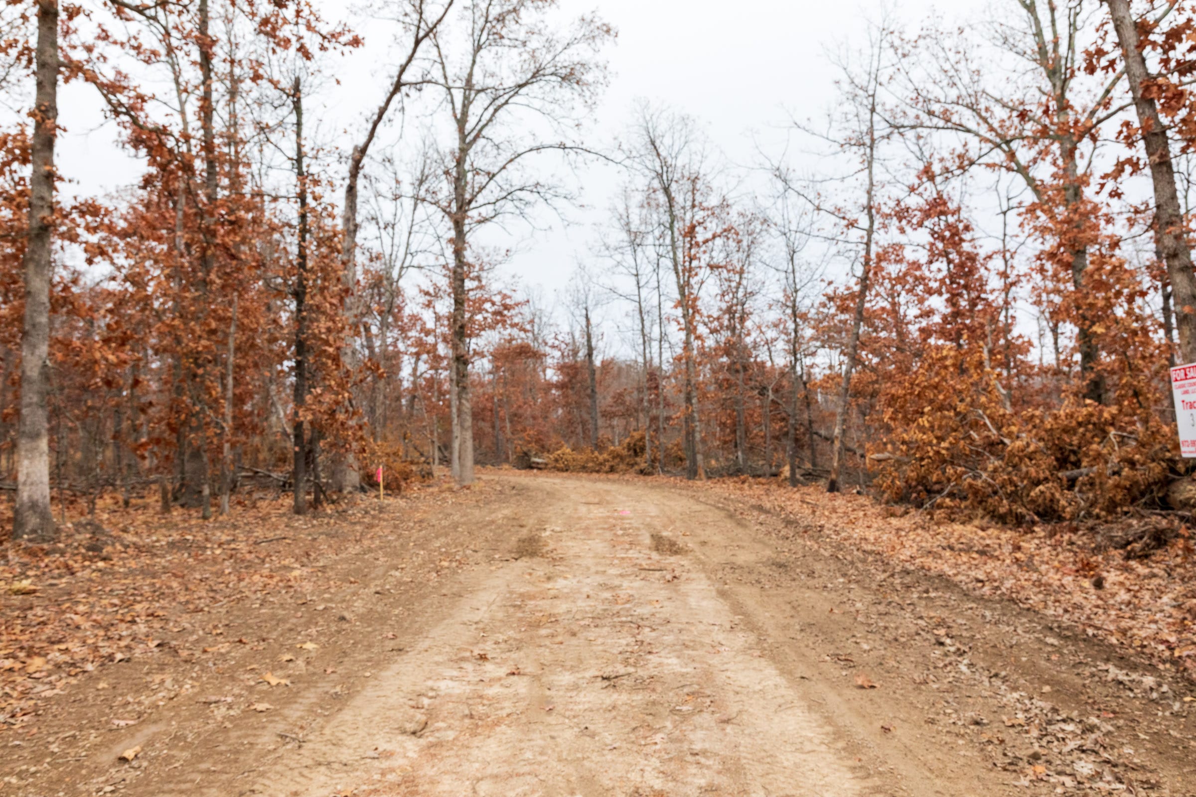 Carter’s Crossing Tract 3 photo 2