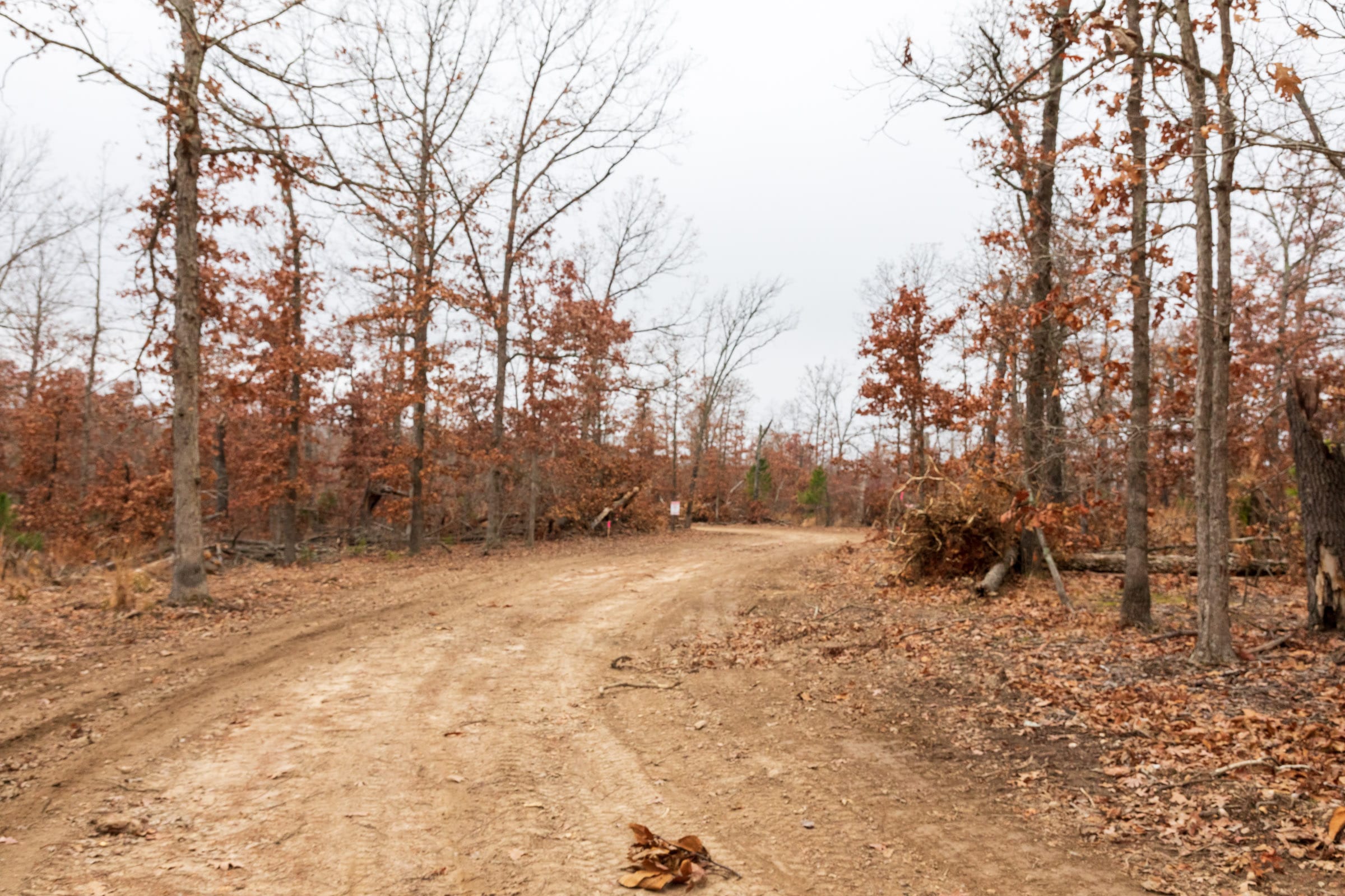 Carter’s Crossing Tract 3 photo 9