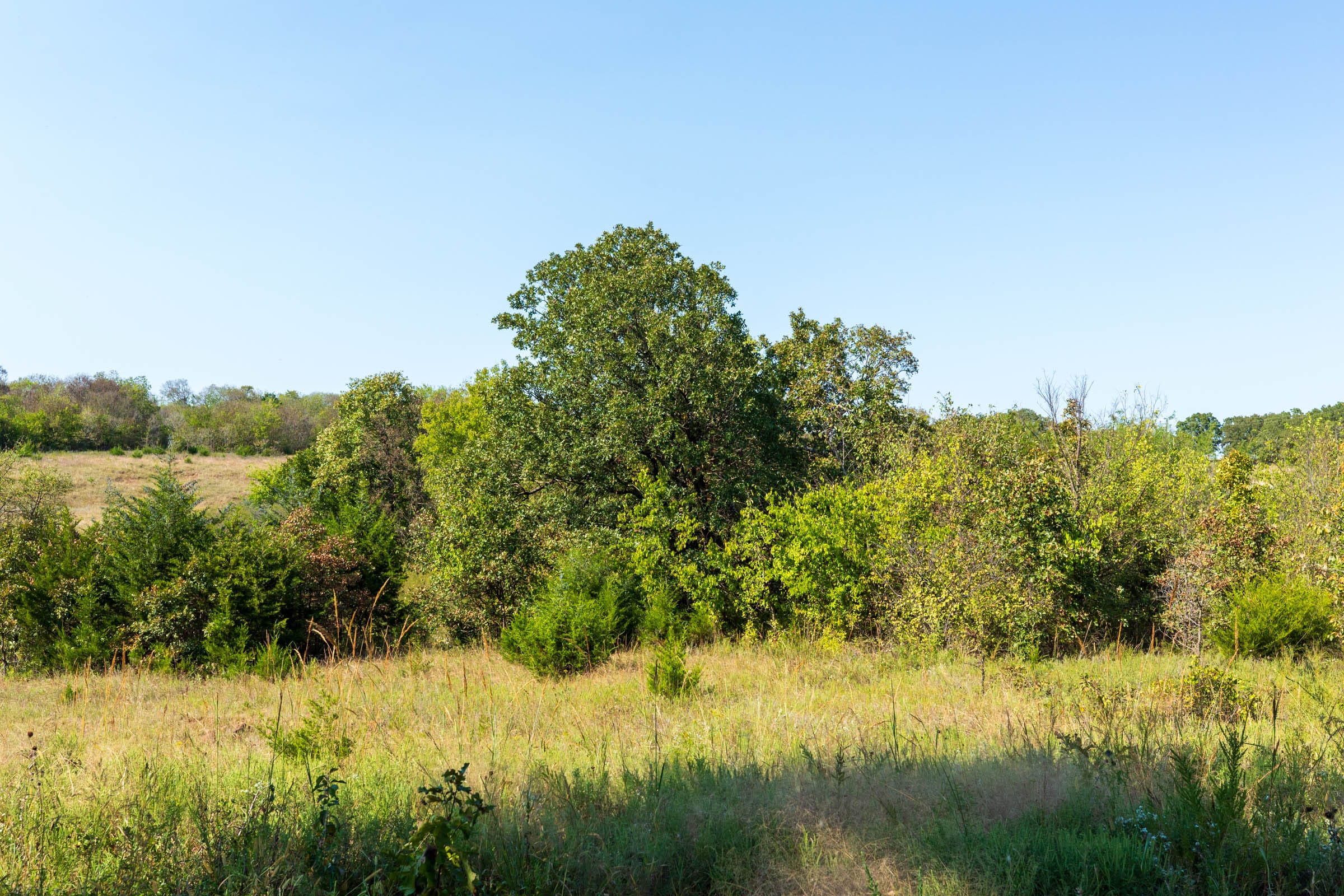Canyon Creek Tract 21 photo 2