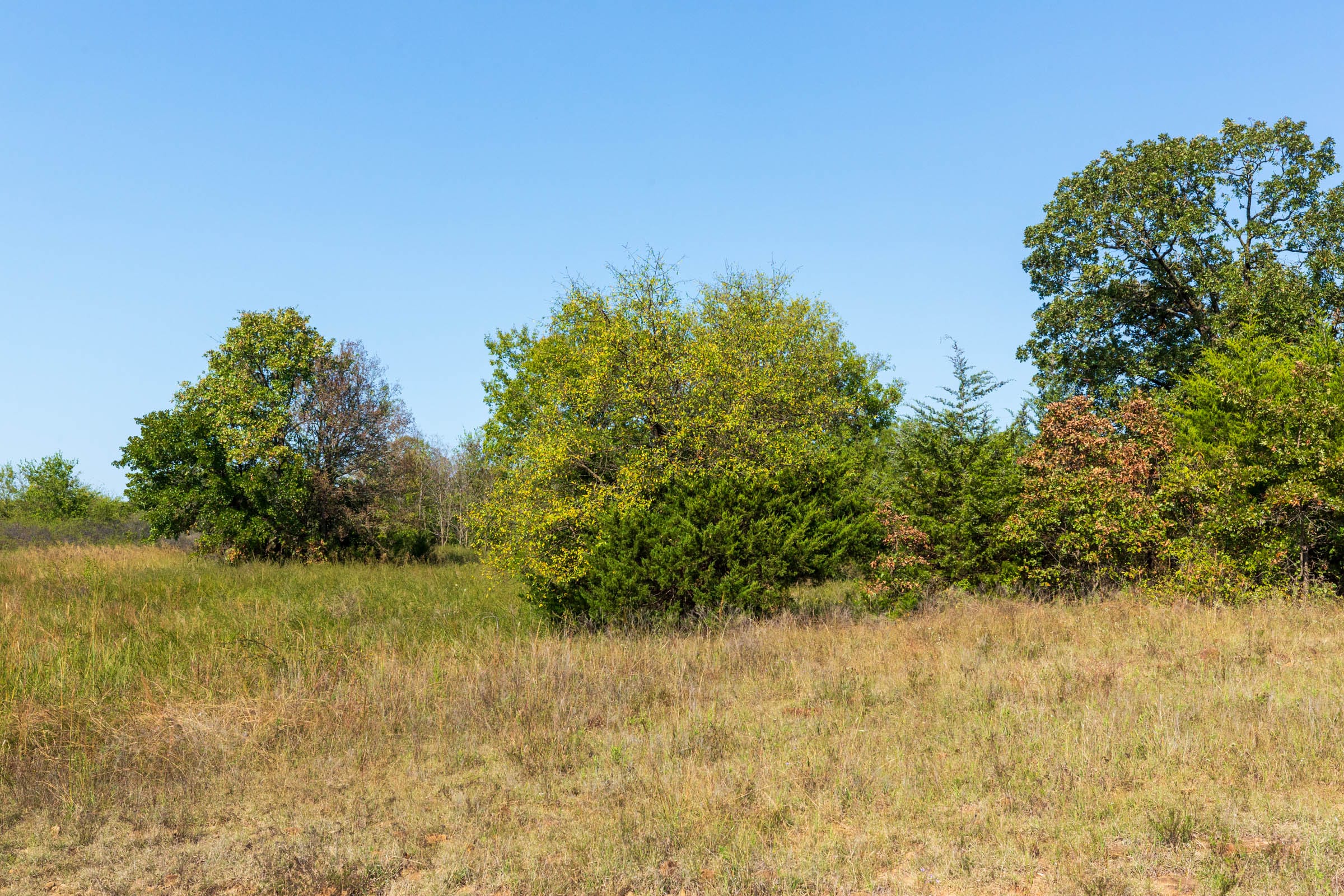 Canyon Creek Tract 21 photo 7