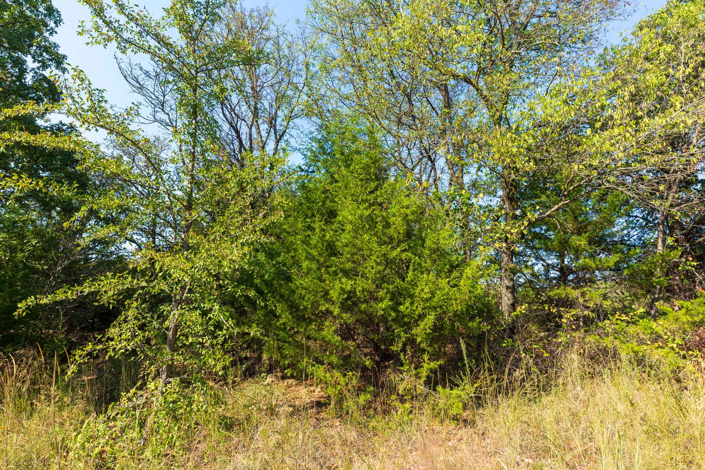 Canyon Creek Tract 21 photo 4