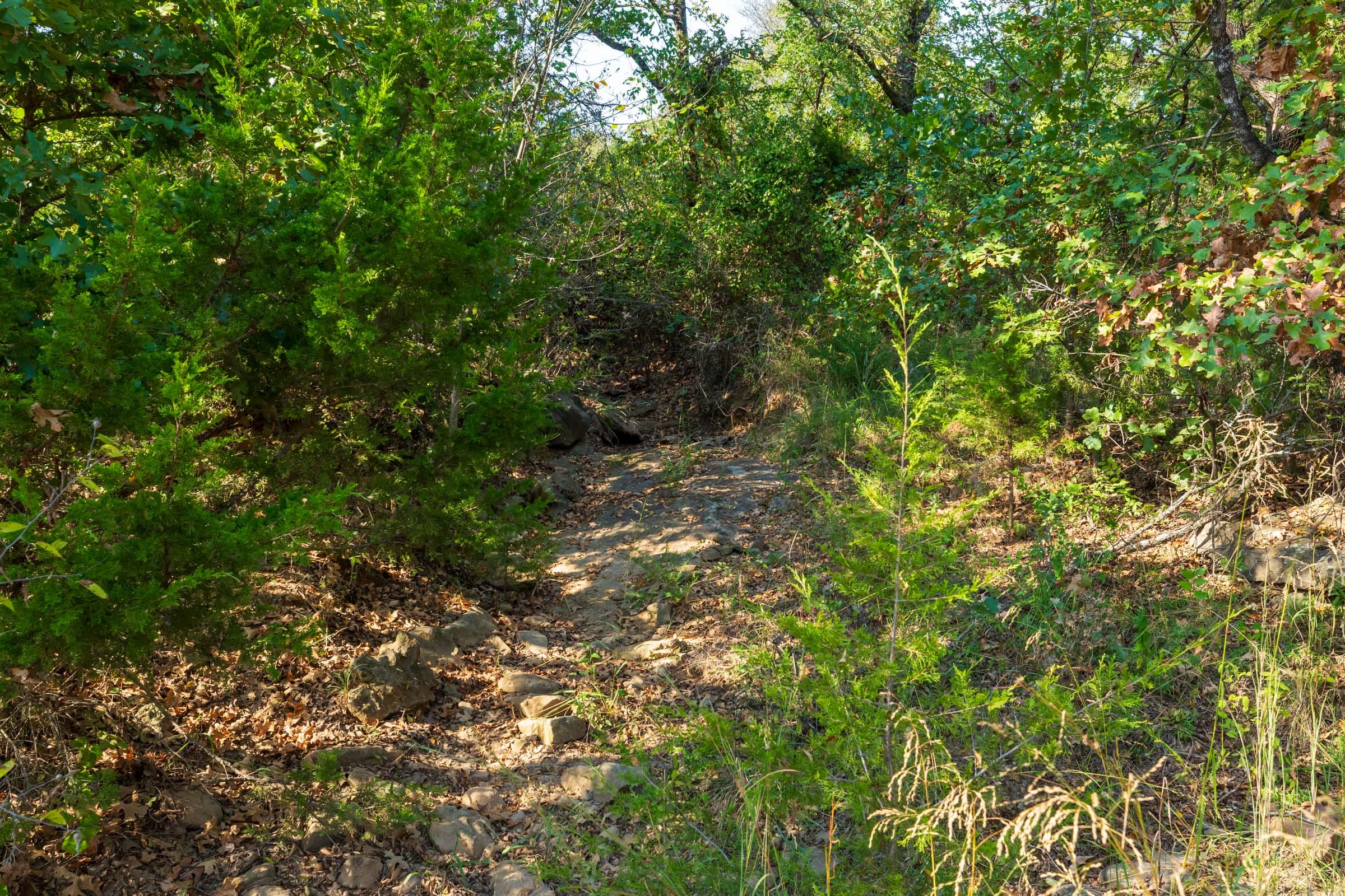 Canyon Creek Tract 21 photo 3