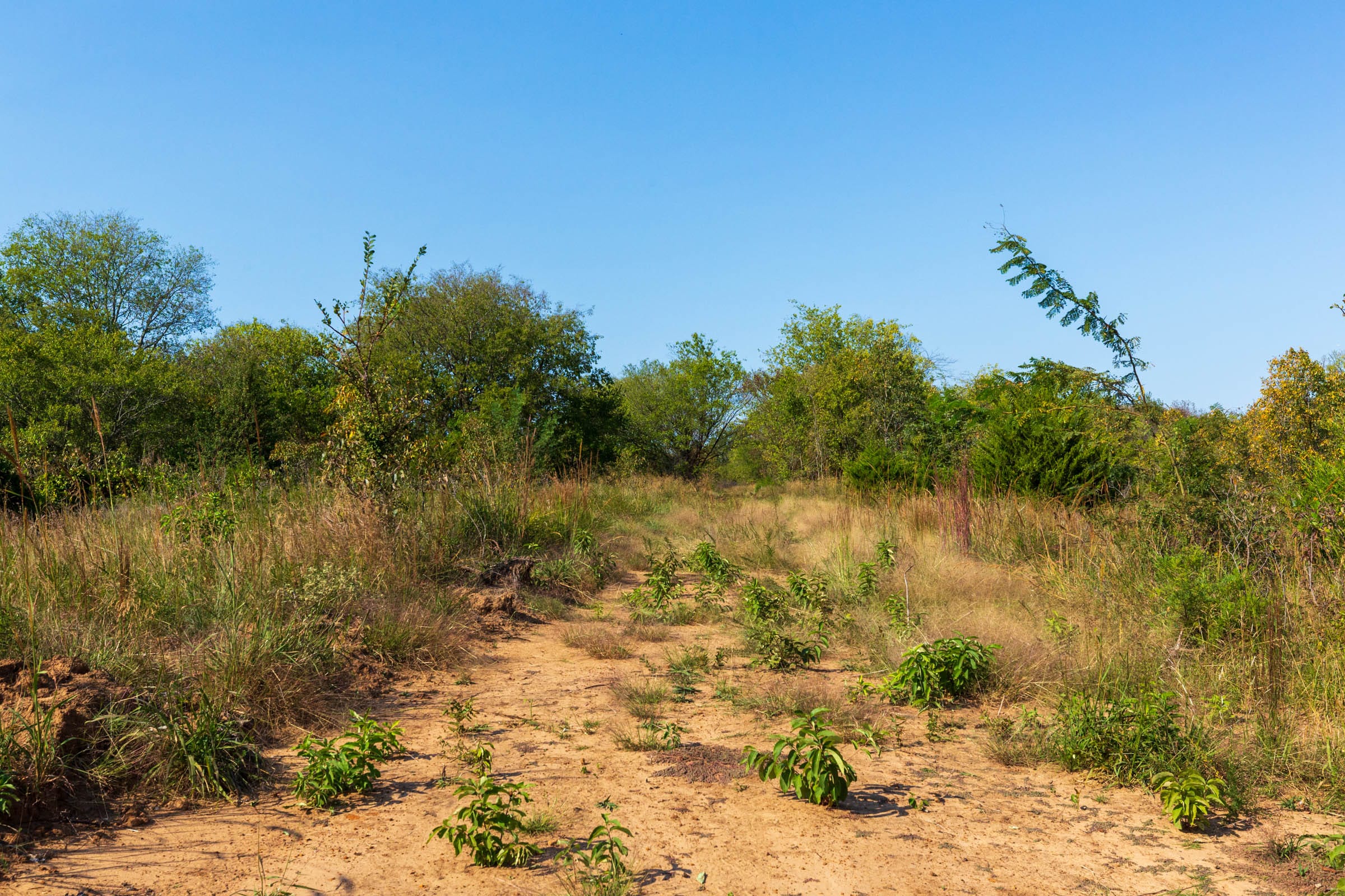 Canyon Creek Tract 21 photo 1