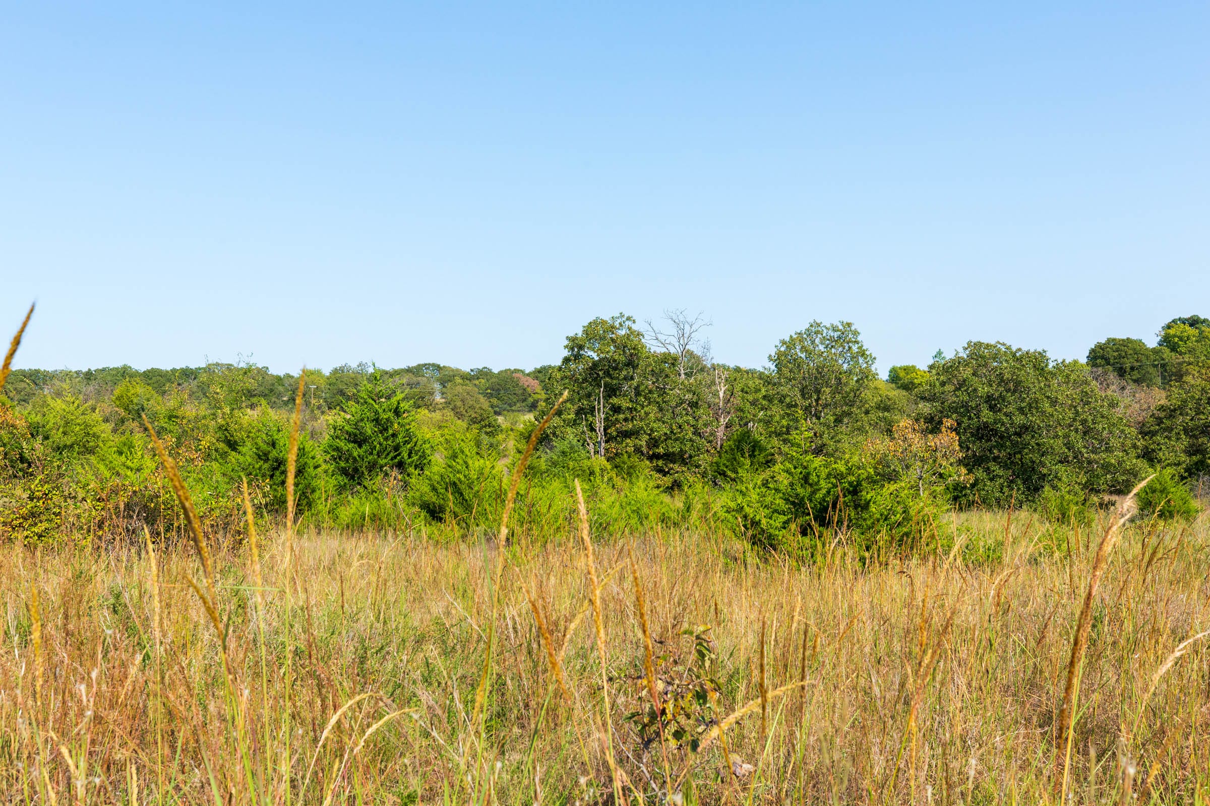 Canyon Creek Tract 21 photo 8