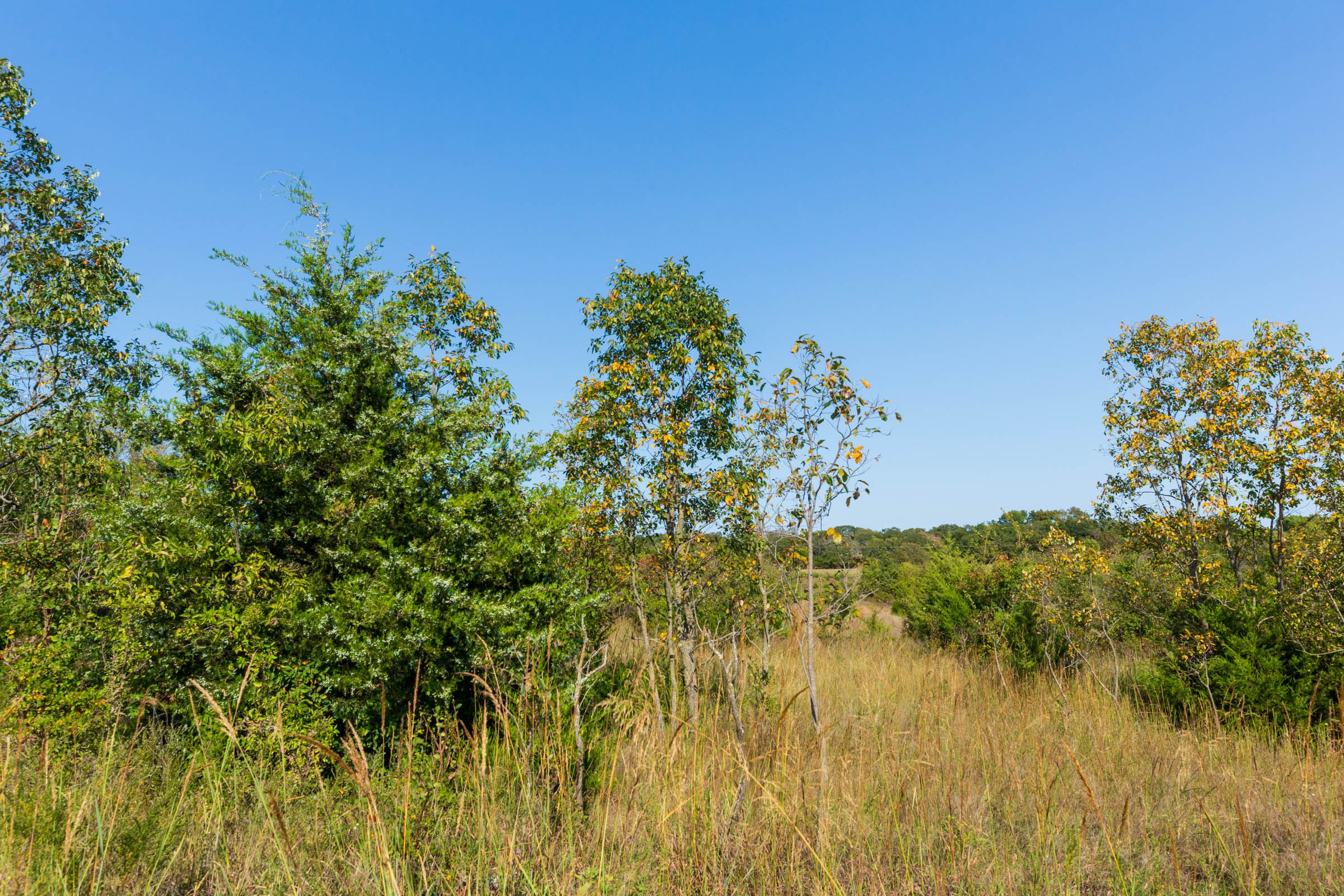 Canyon Creek Tract 21 photo 10