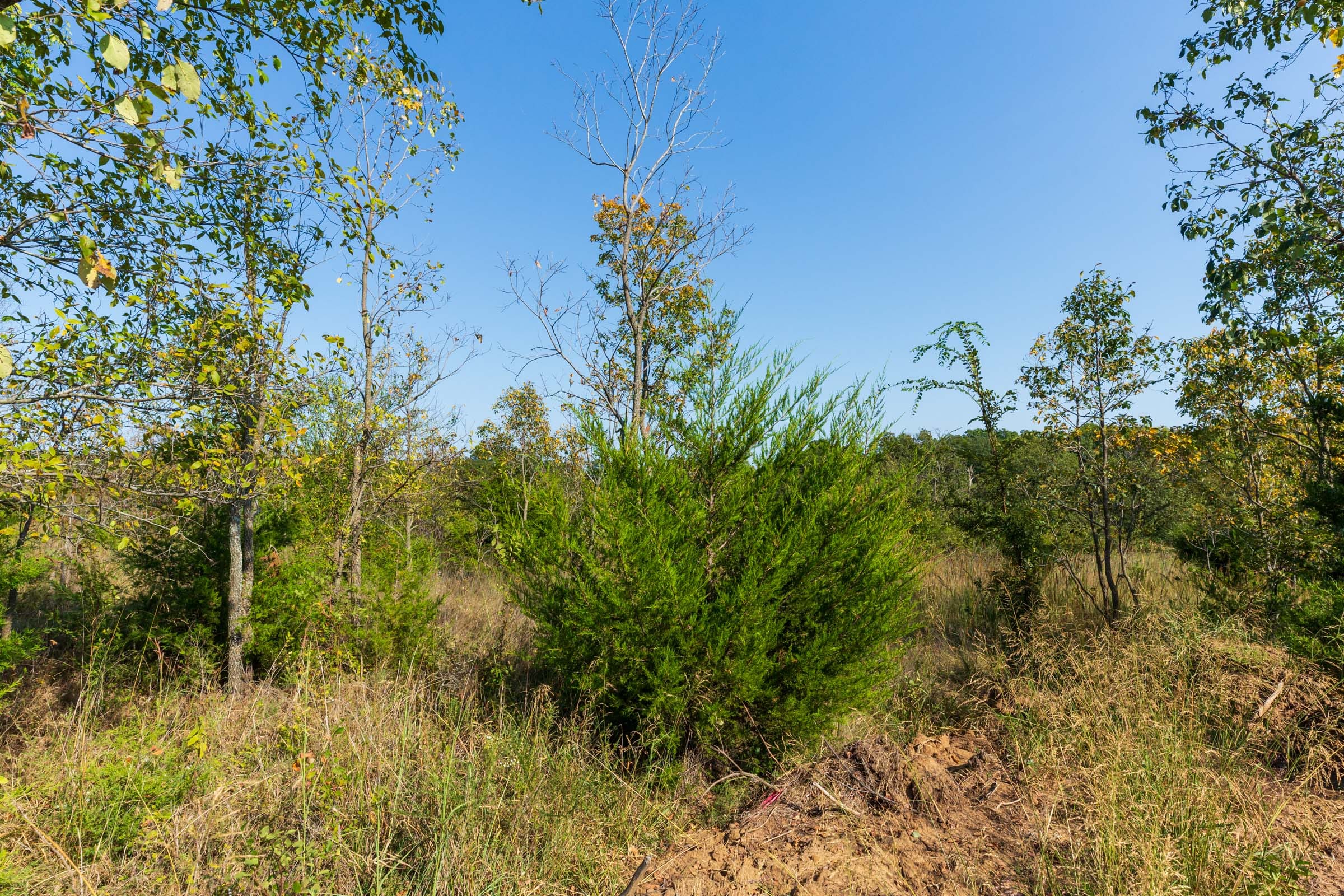 Canyon Creek Tract 21 photo 12