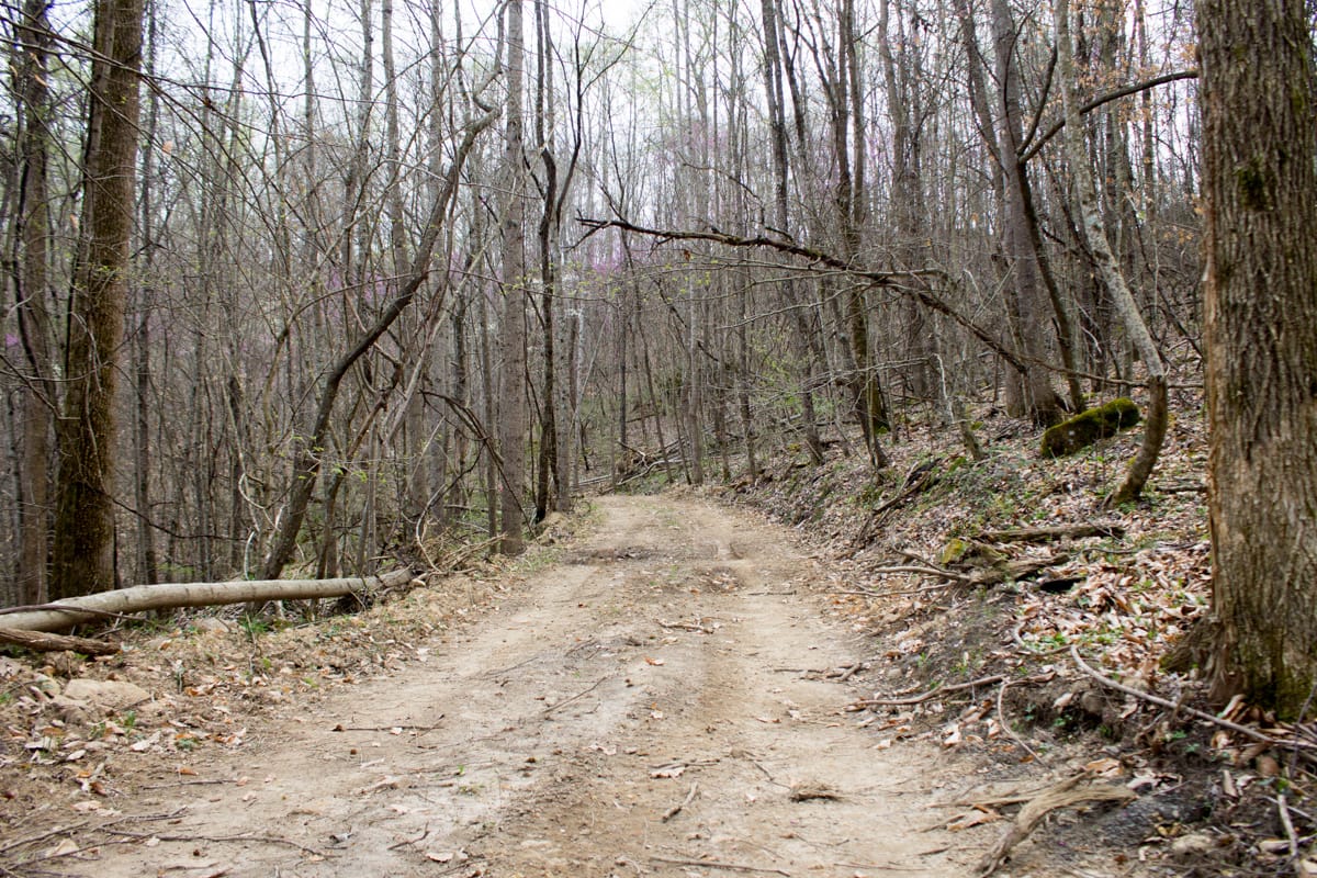 Chestnut Oak Ridge Tract 3 photo 1