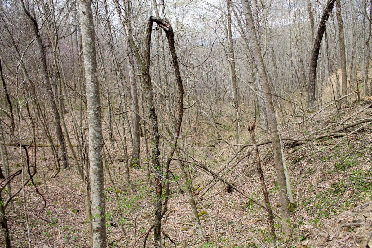 Chestnut Oak Ridge Tract 3 photo 11