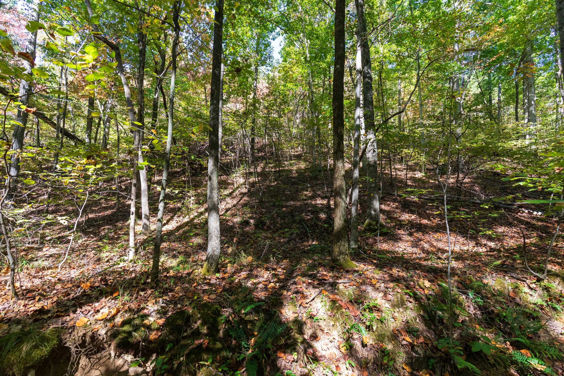 Bear Brook Tract 2 photo 2
