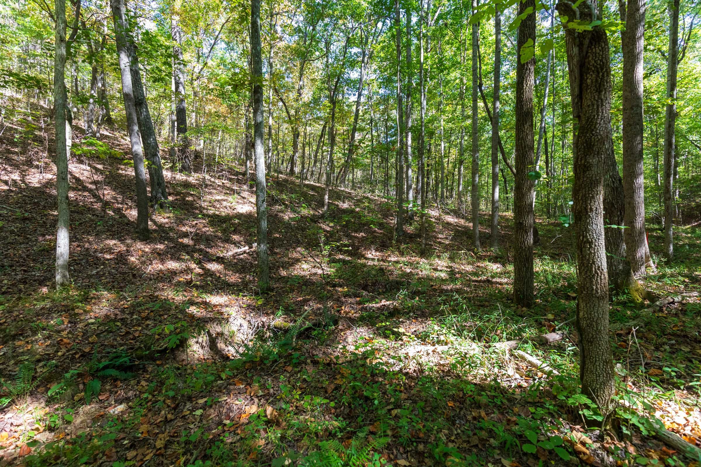 Bear Brook Tract 2 photo 6