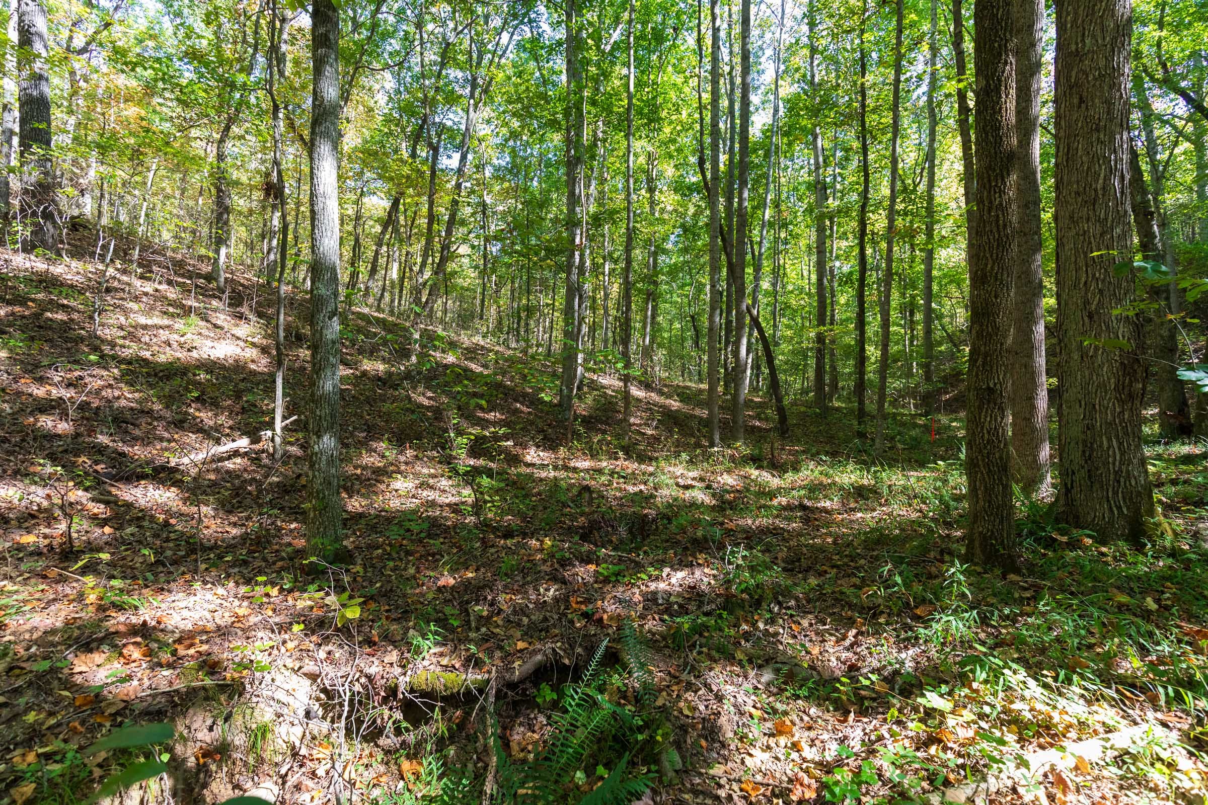 Bear Brook Tract 2 photo 11