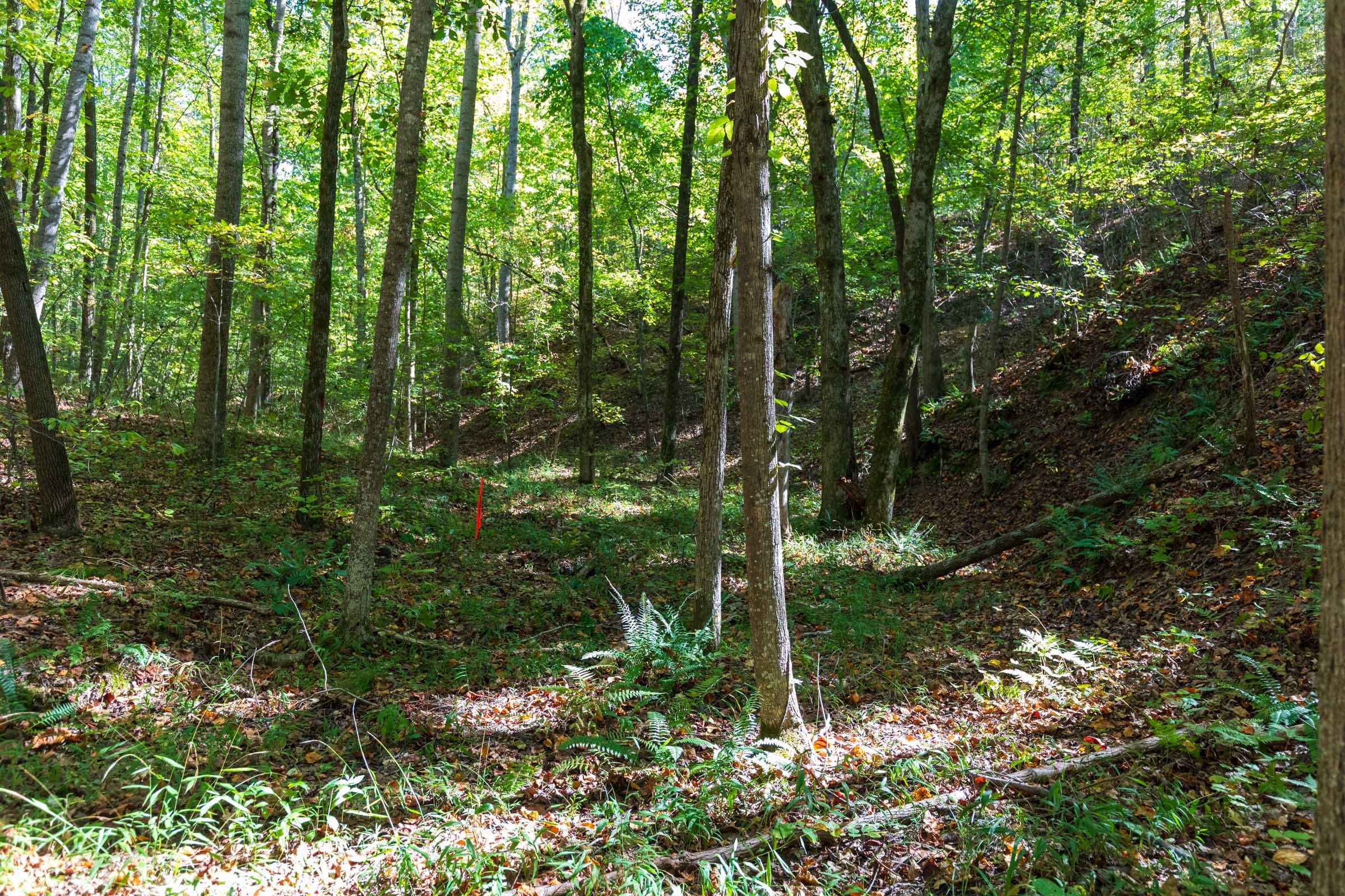 Bear Brook Tract 2 photo 5