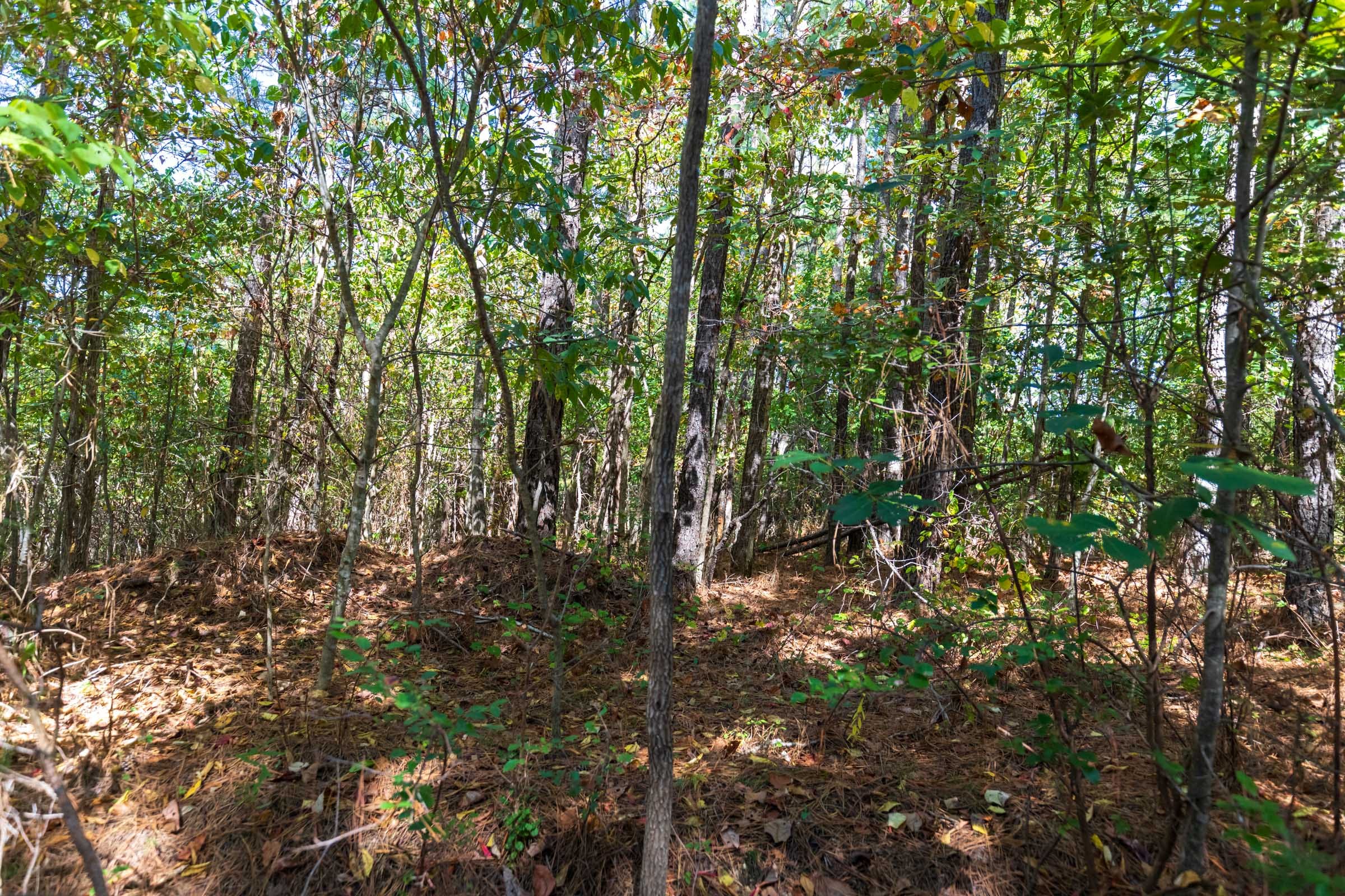 Bear Brook Tract 2 photo 8