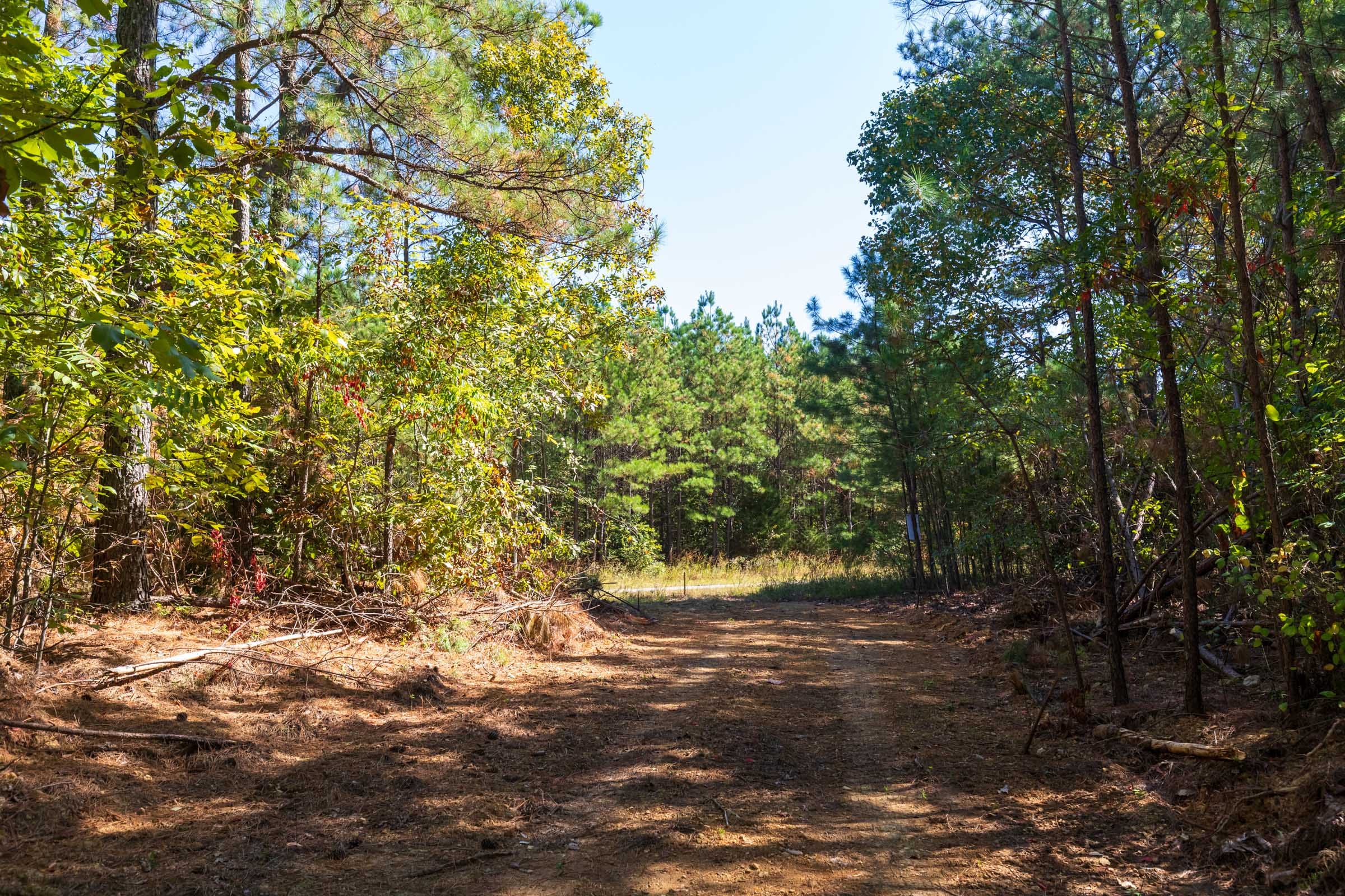 Bear Brook Tract 2 photo 13