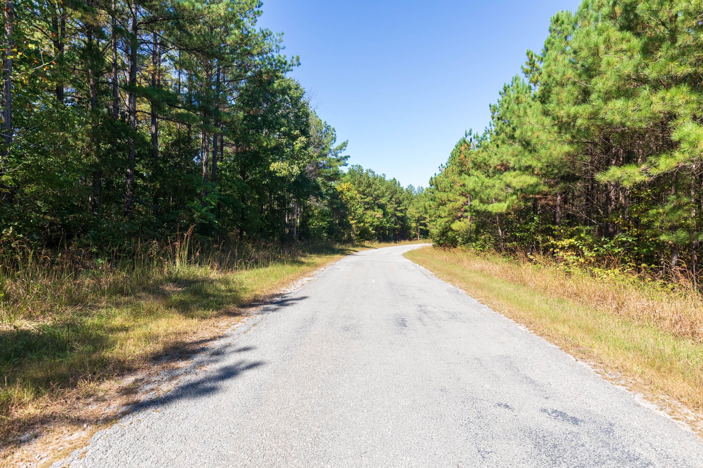Bear Brook Tract 2 photo 7