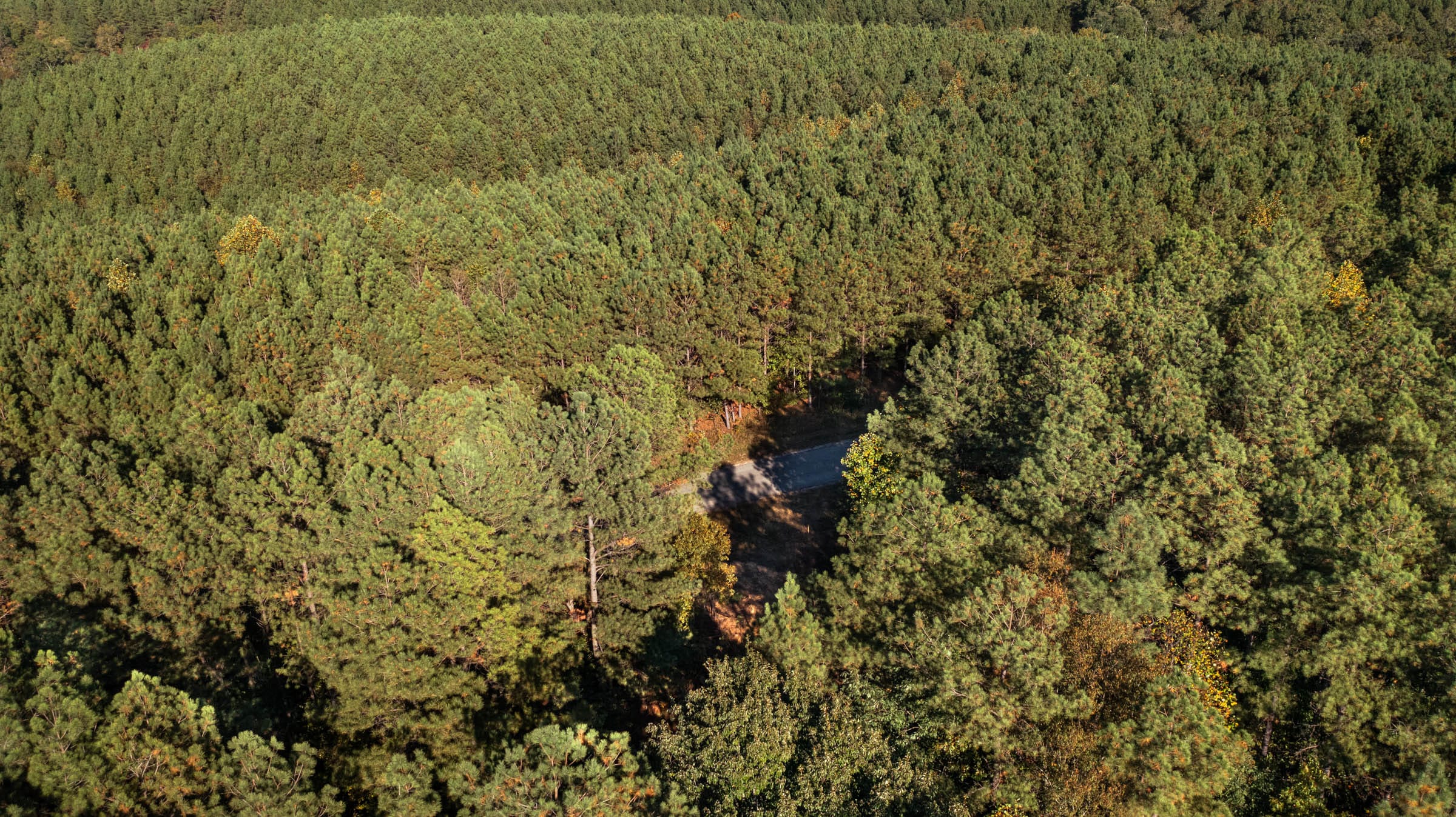 Bear Brook Tract 2 photo 4
