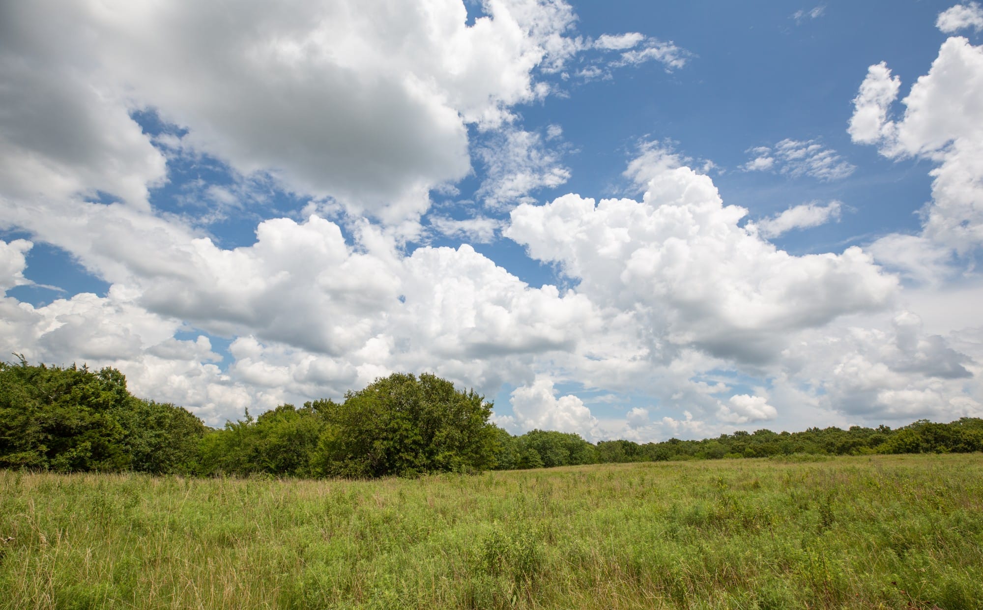 Paradise Valley Tract 10 photo 2